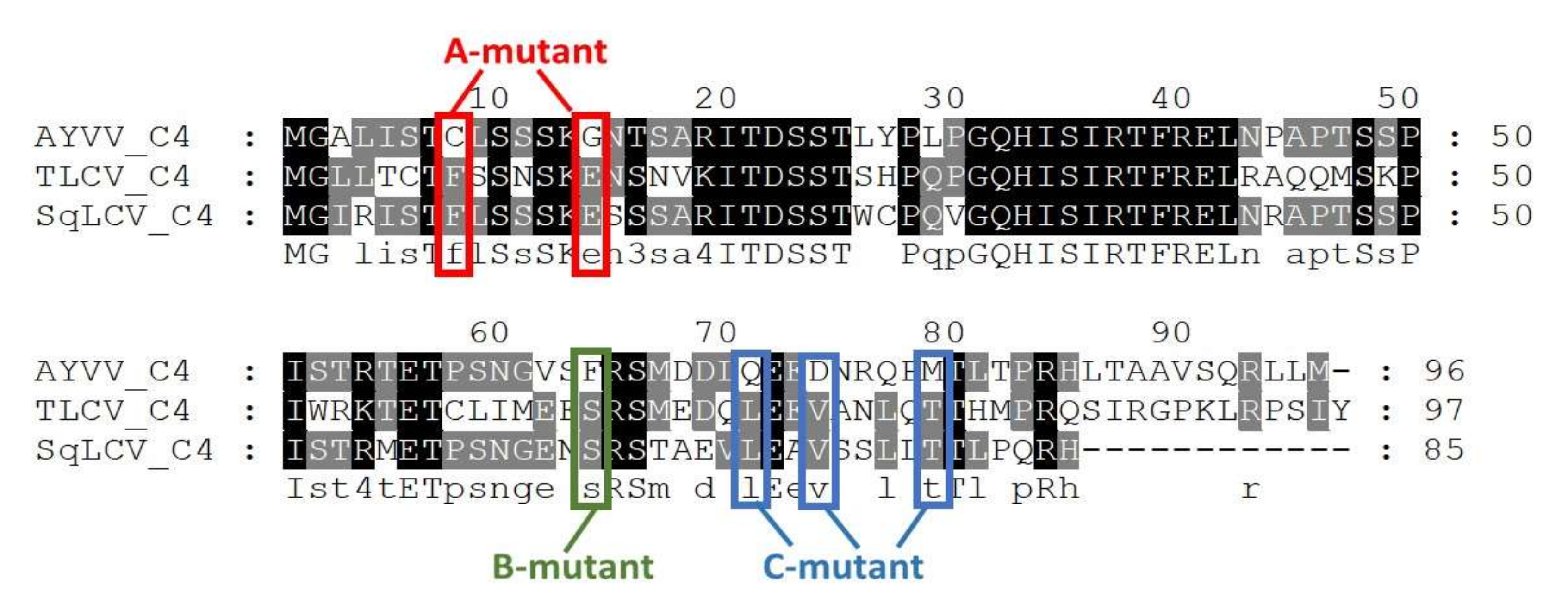 Viruses 14 00499 g004
