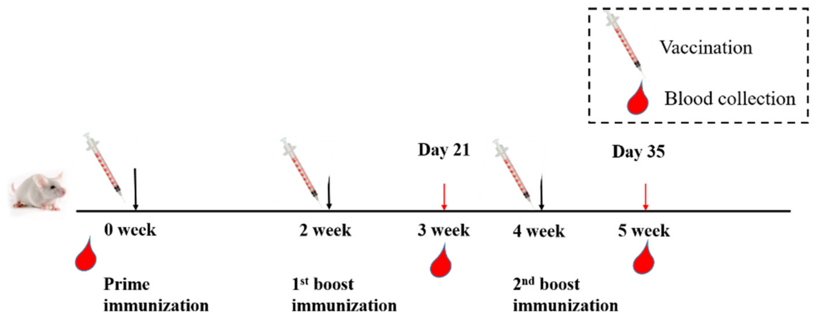 Viruses 14 00501 g001 550