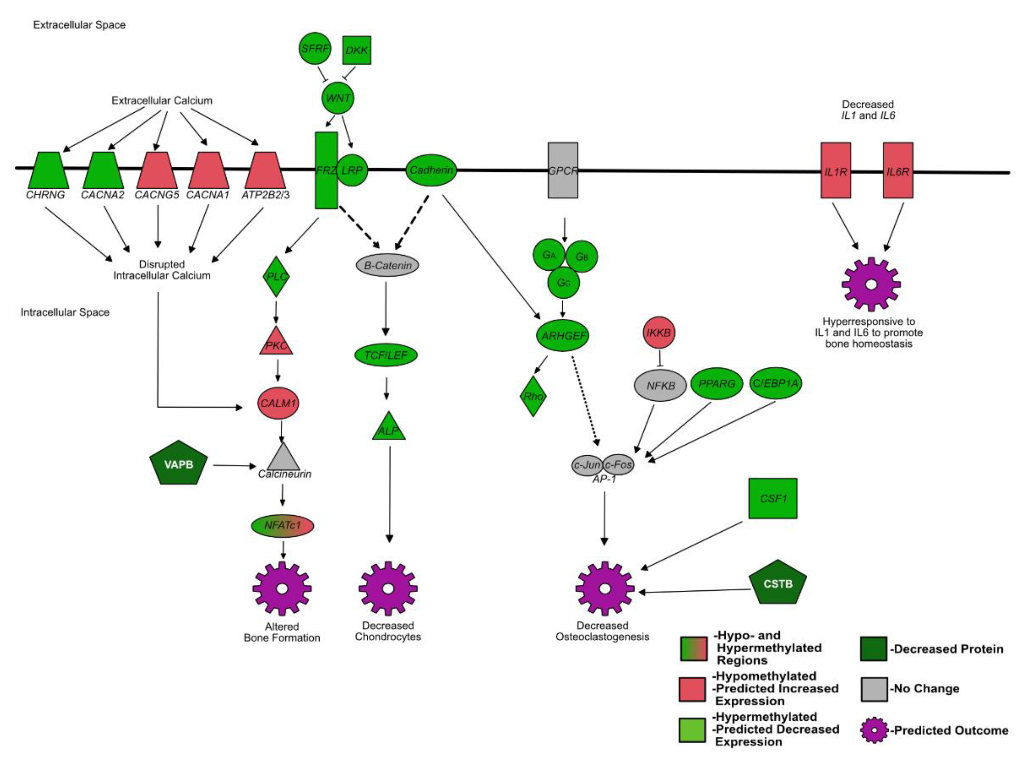 Viruses 14 00506 g002 Viruses 14 00506 g002