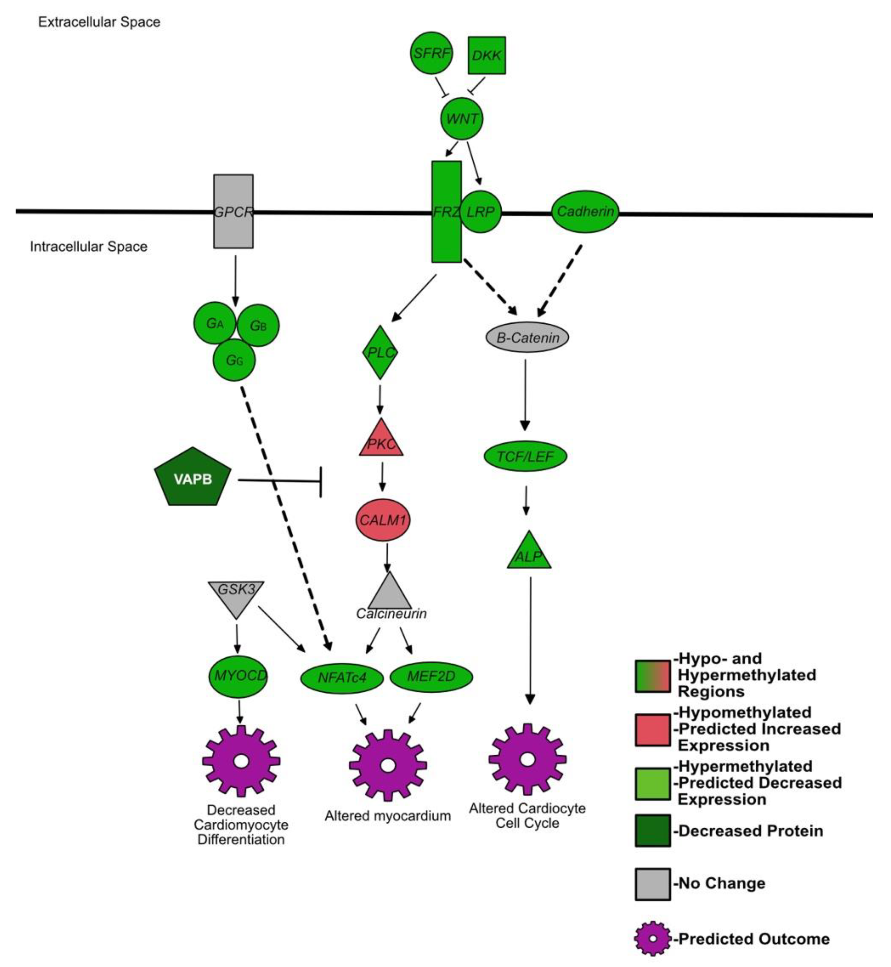 Viruses 14 00506 g003 Viruses 14 00506 g003