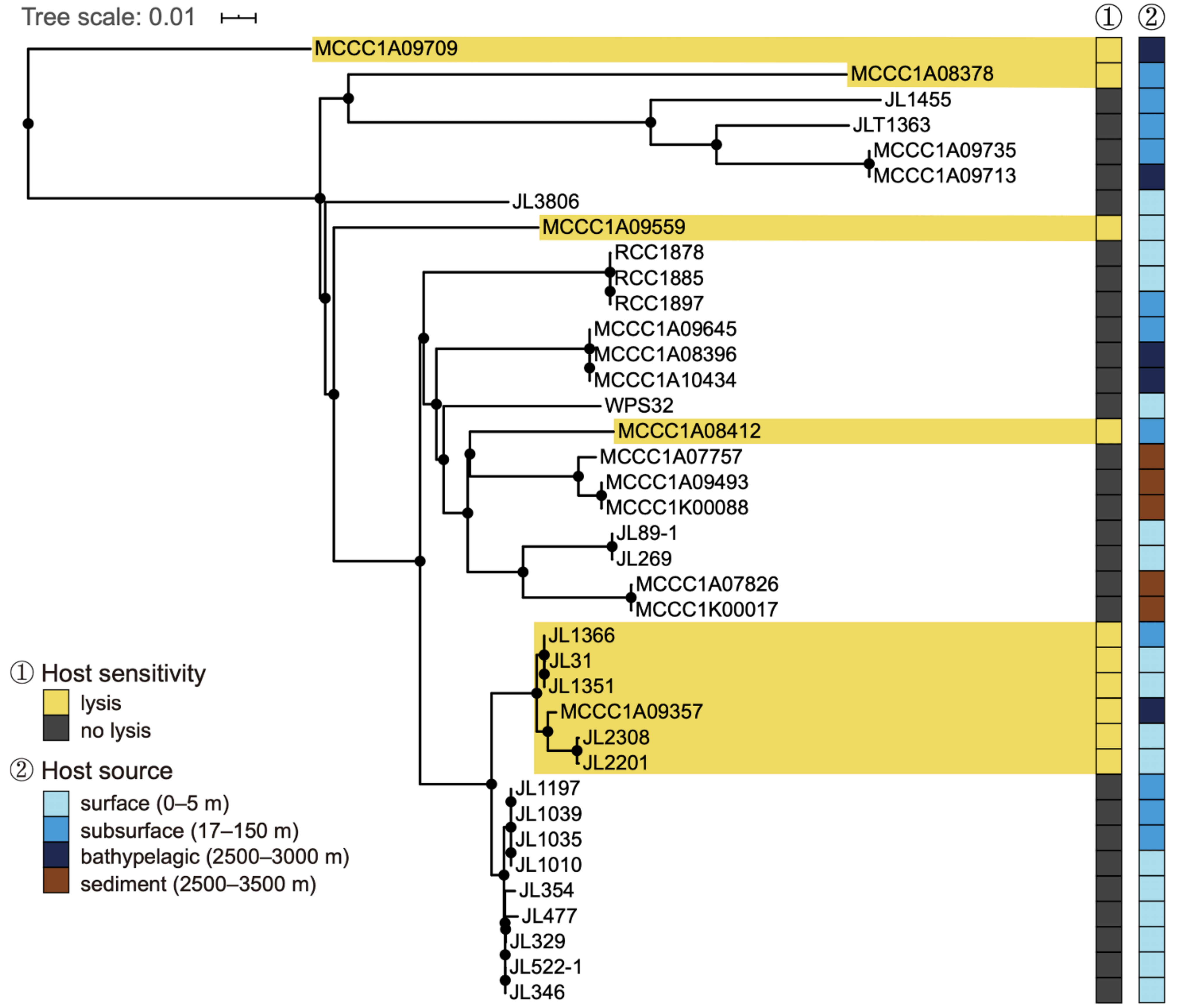 Viruses 14 00512 g002