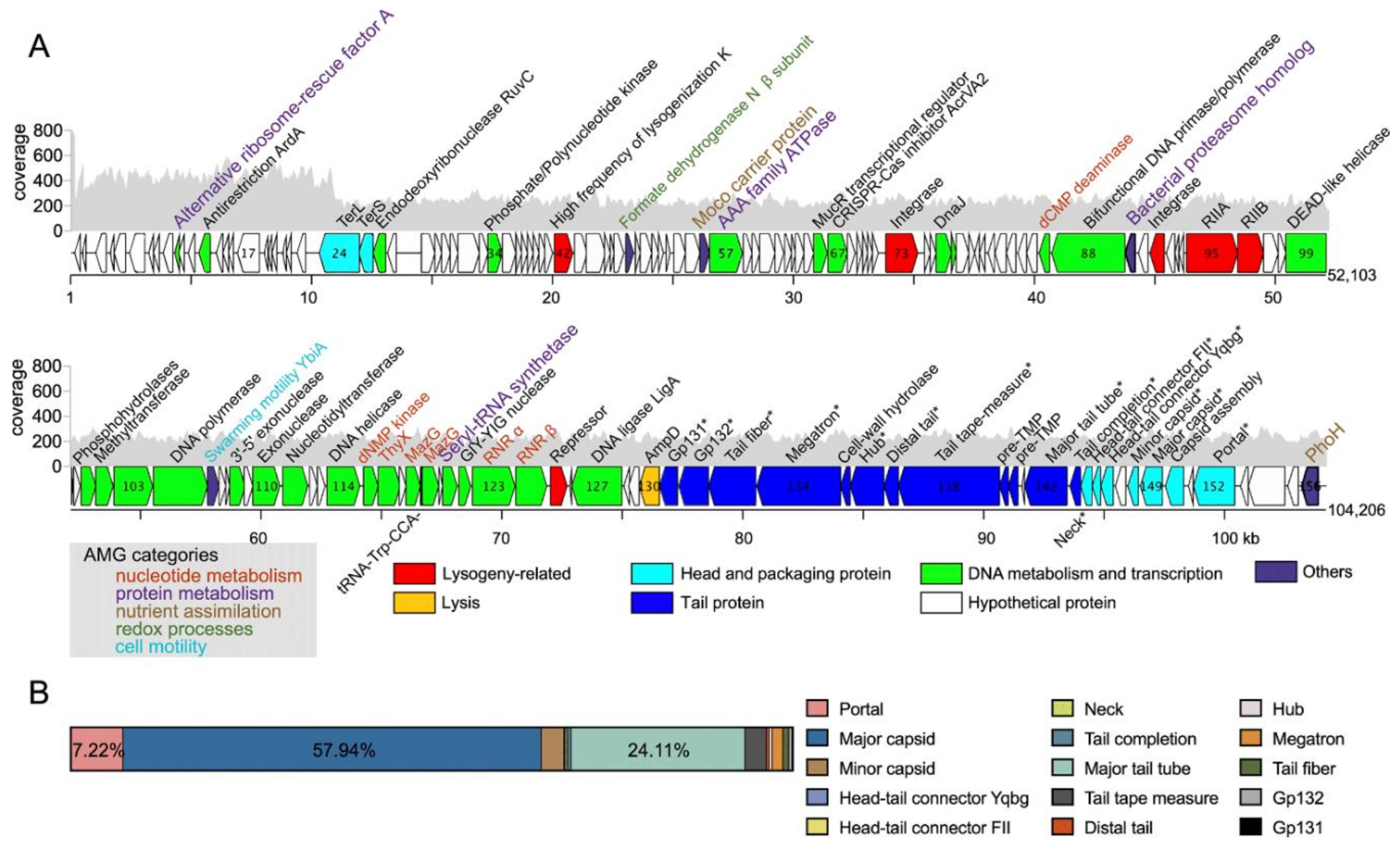 Viruses 14 00512 g003