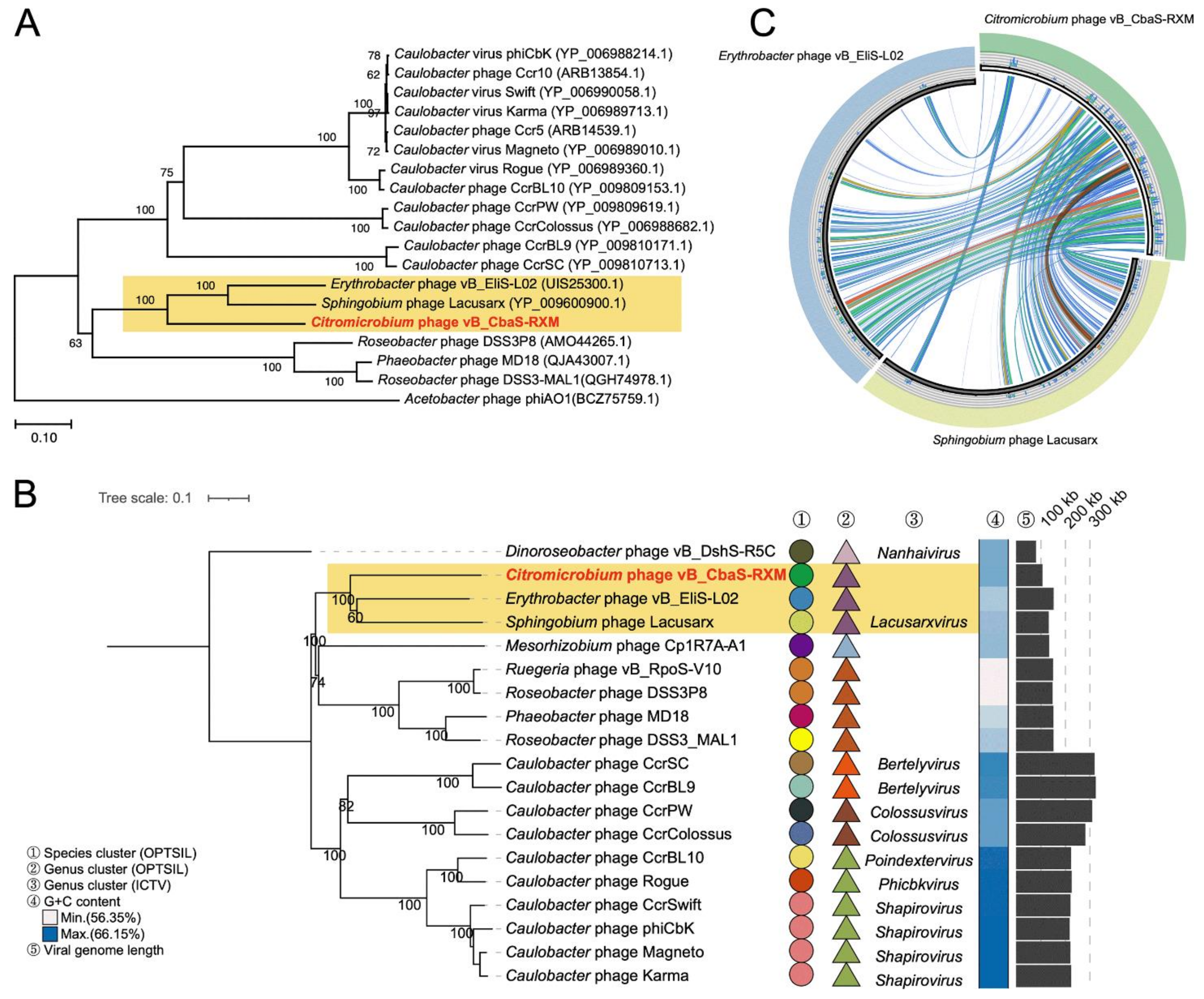 Viruses 14 00512 g004
