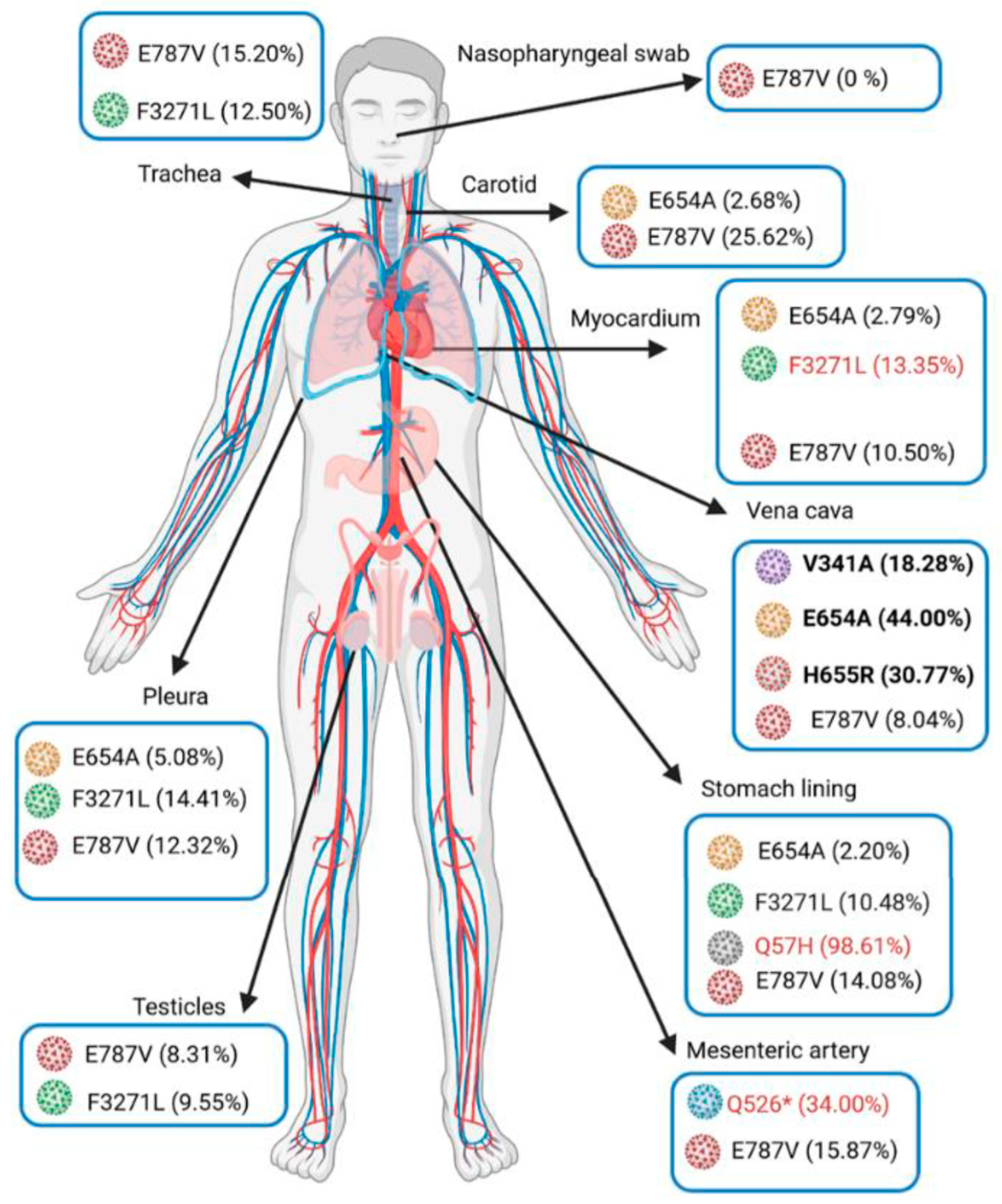 Viruses 14 00515 g002 550