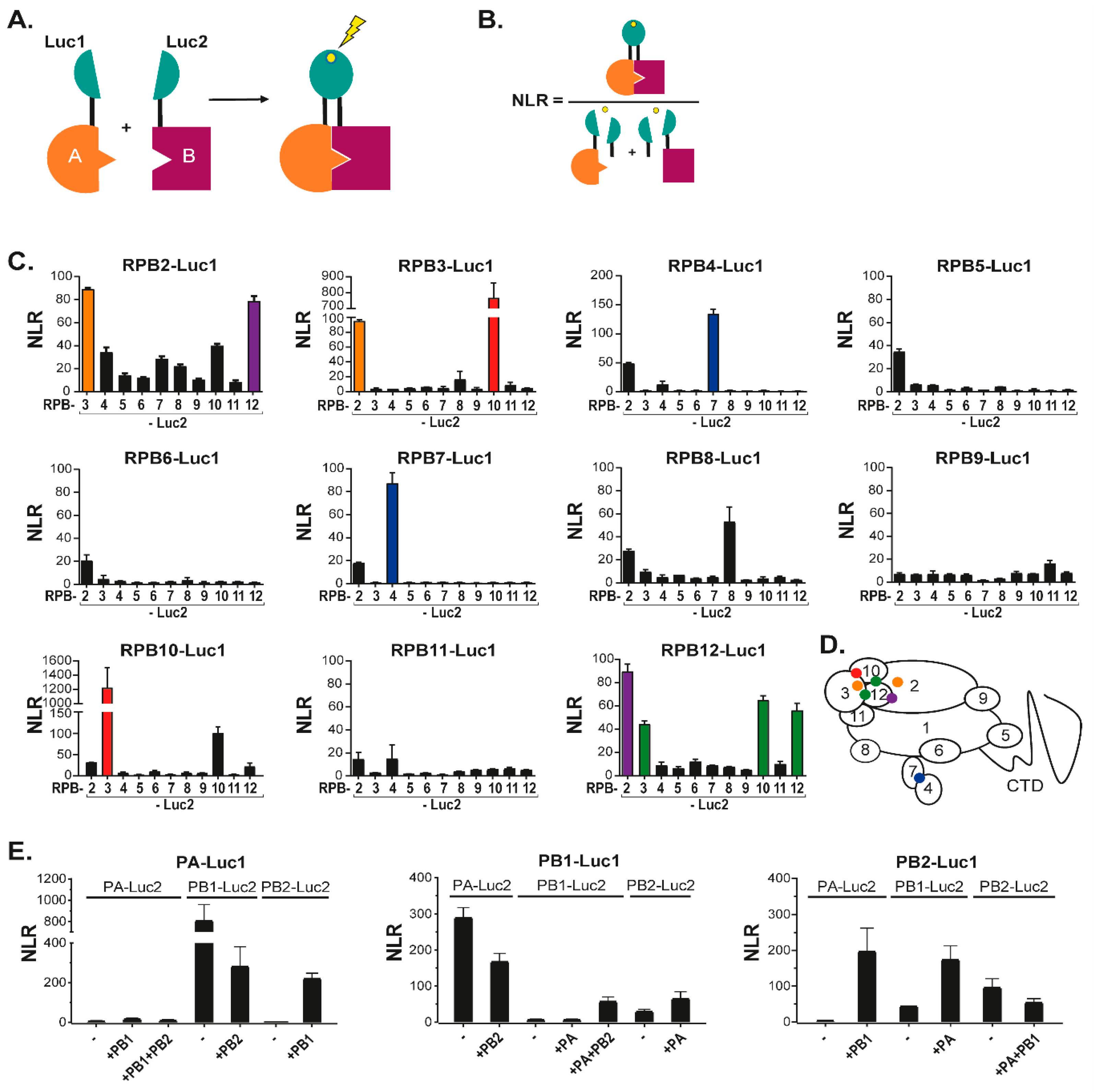 Viruses 14 00518 g001 550
