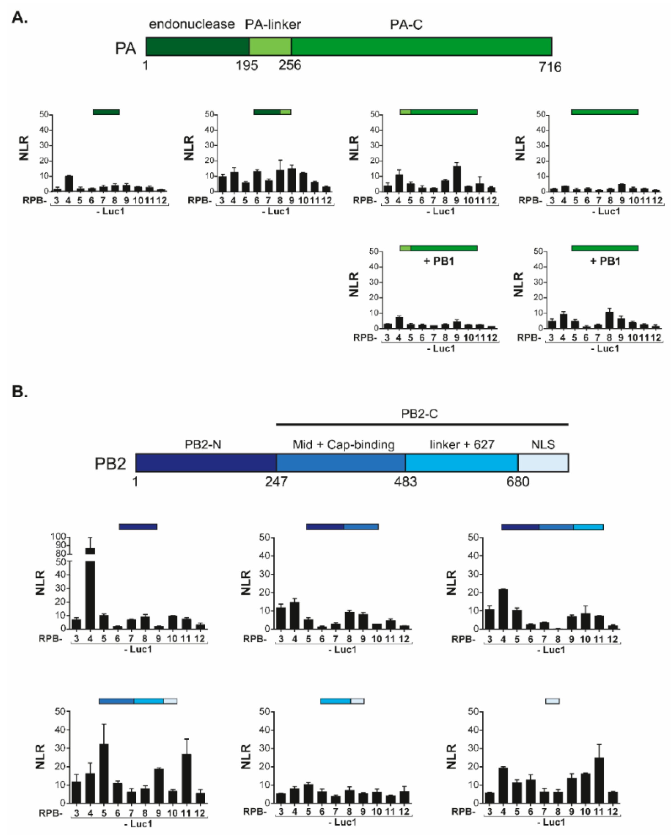 Viruses 14 00518 g003 550