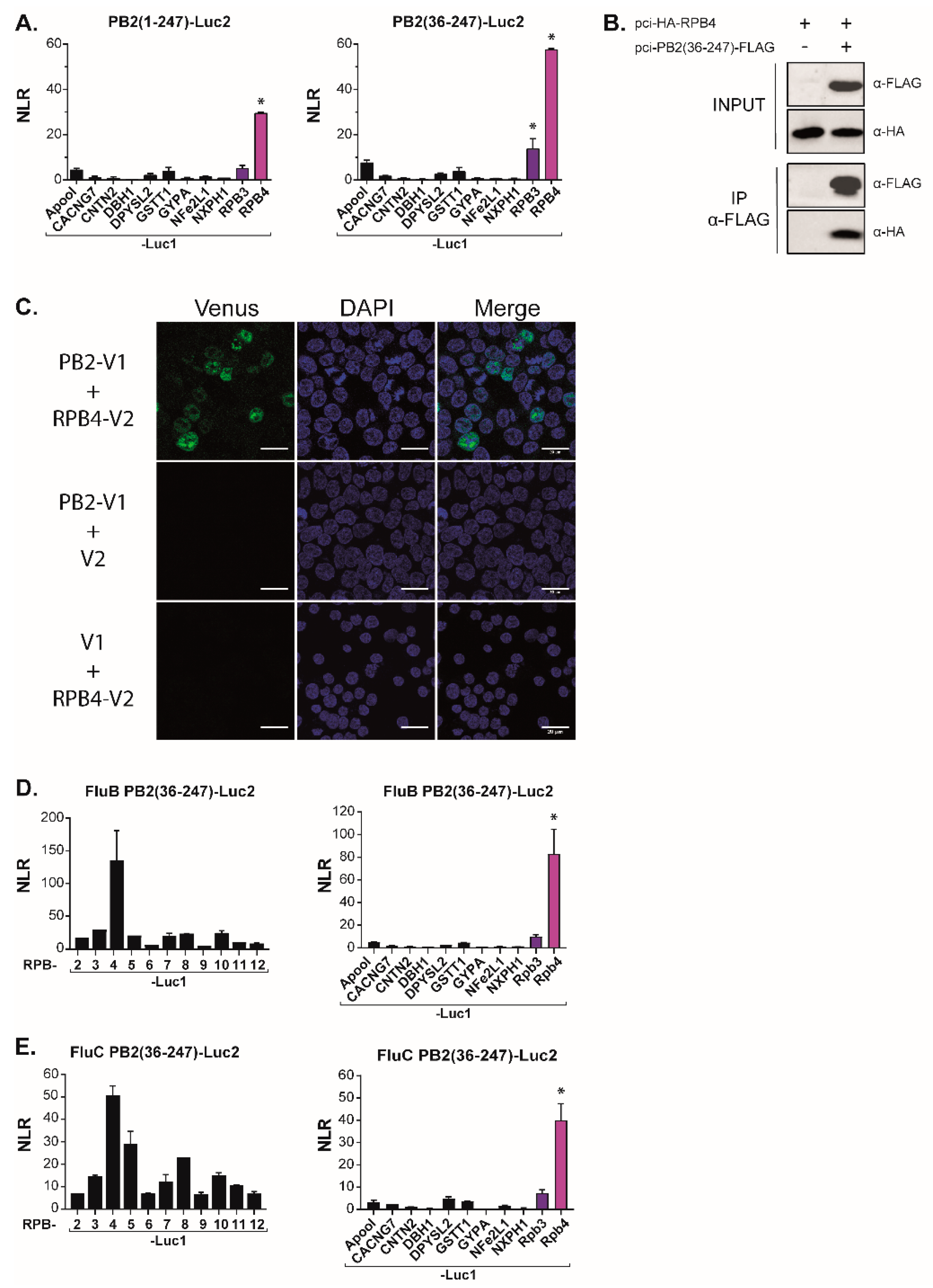 Viruses 14 00518 g004 550