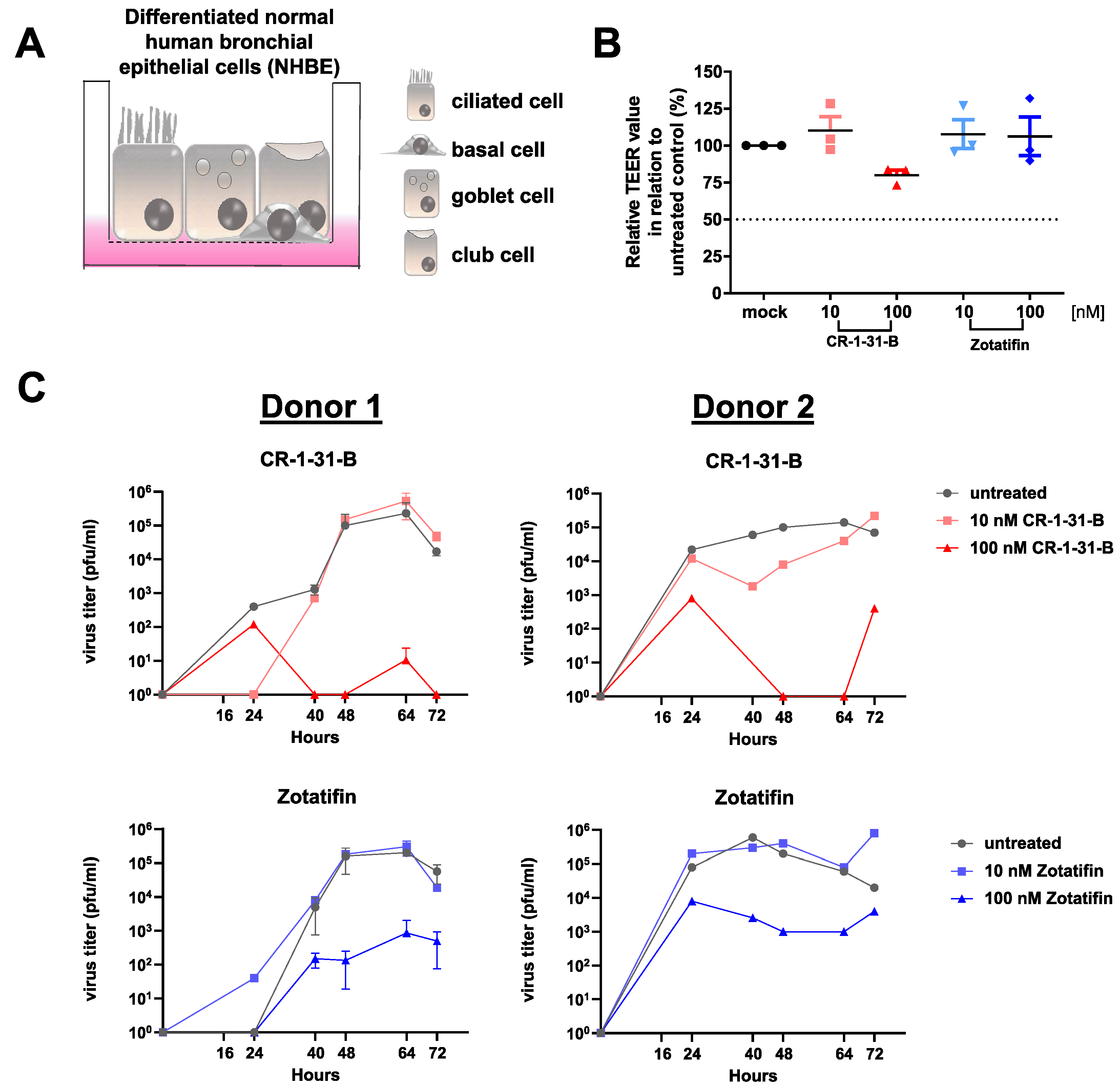 Viruses 14 00519 g006 550