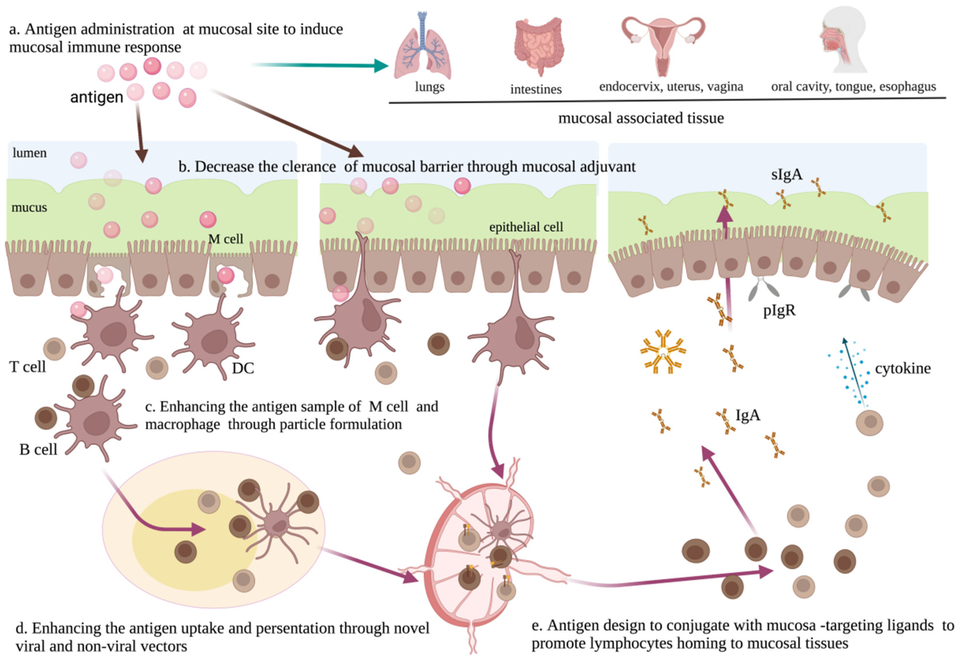 Viruses 14 00520 g002