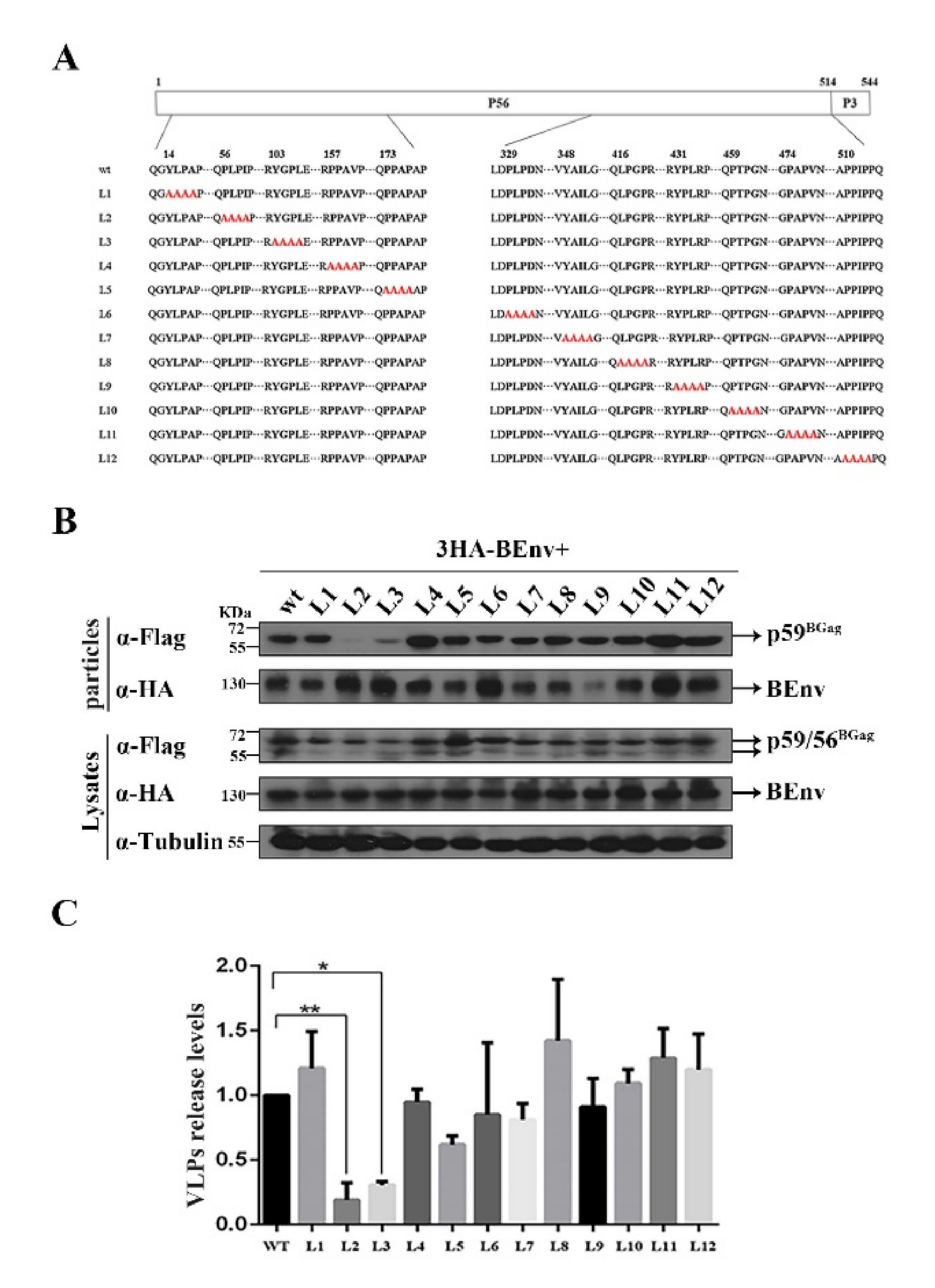 Viruses 14 00522 g002
