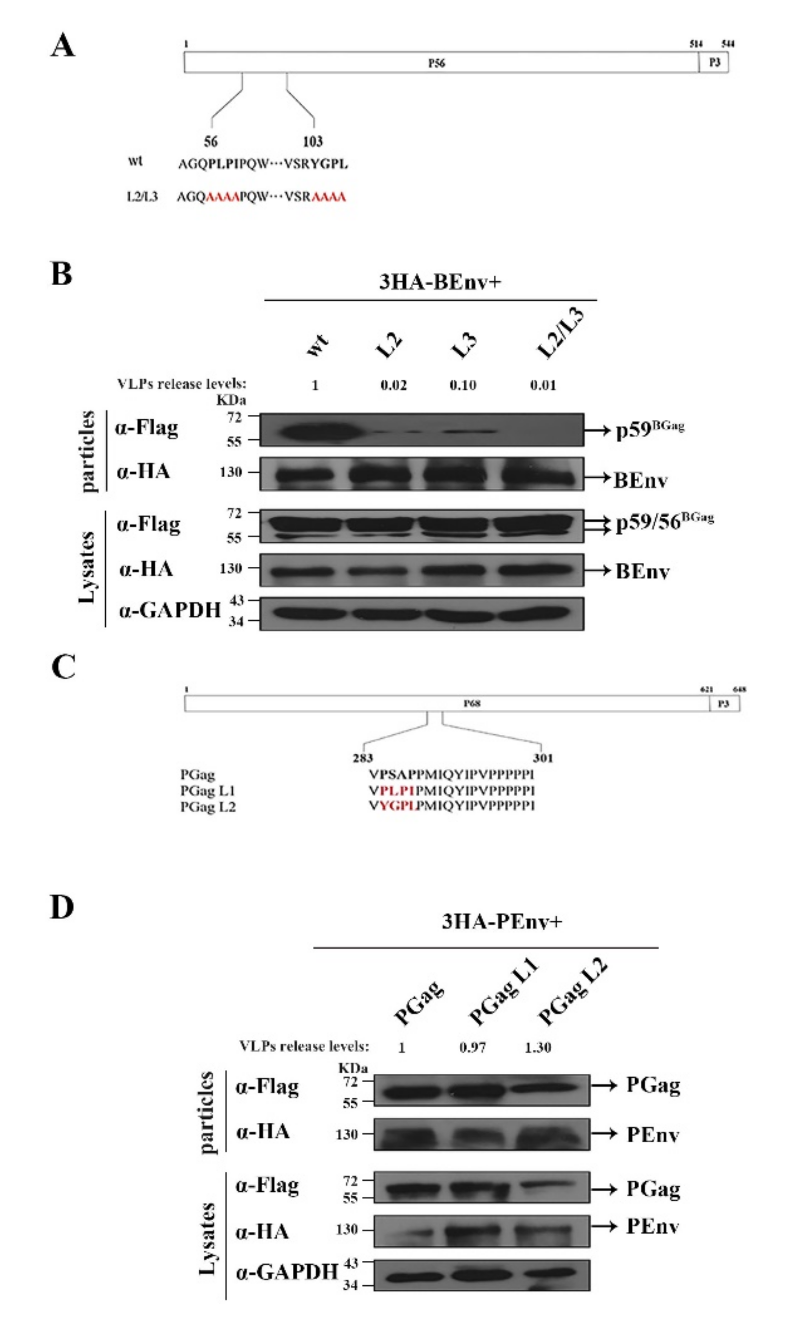 Viruses 14 00522 g003