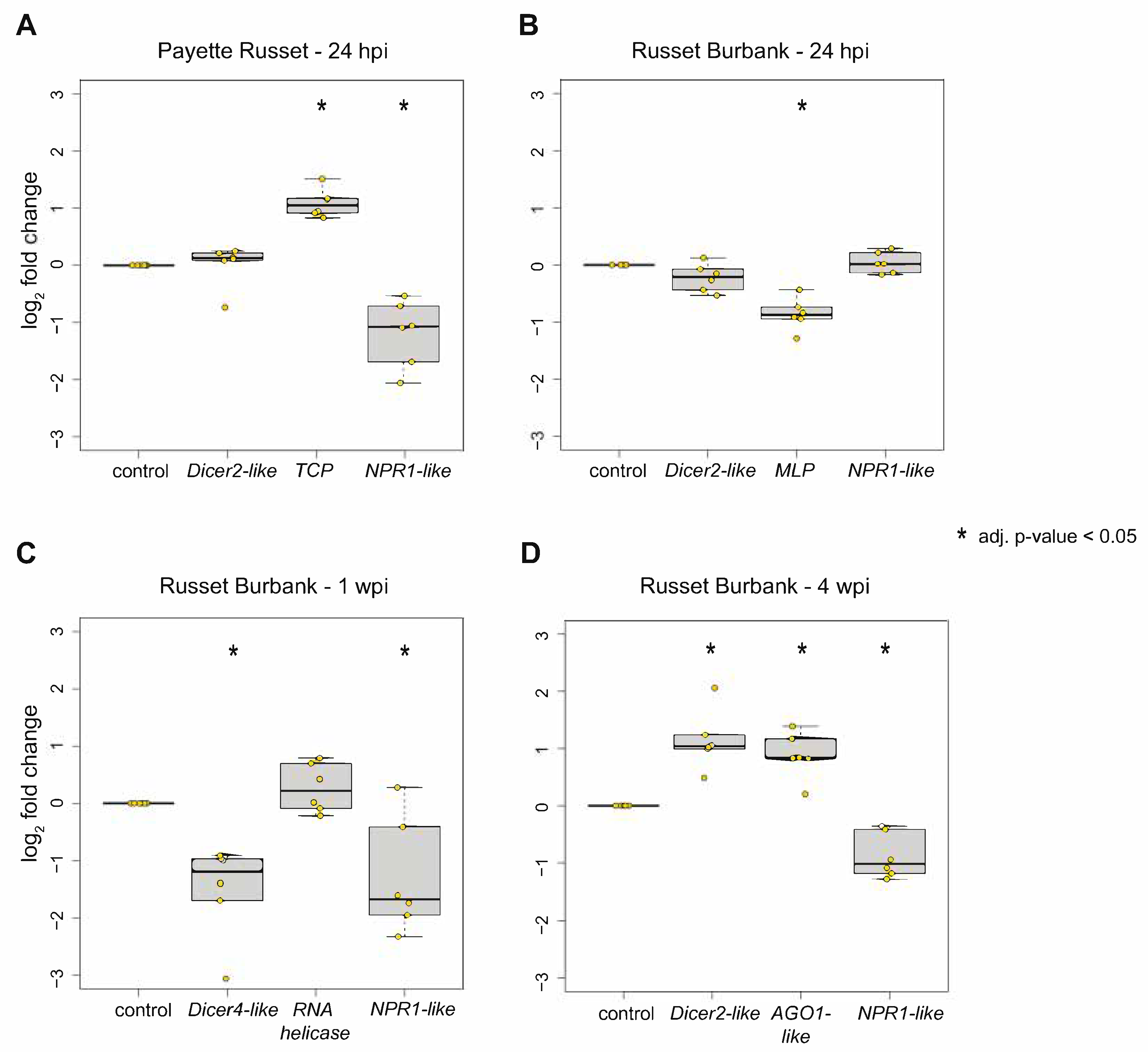 Viruses 14 00523 g003