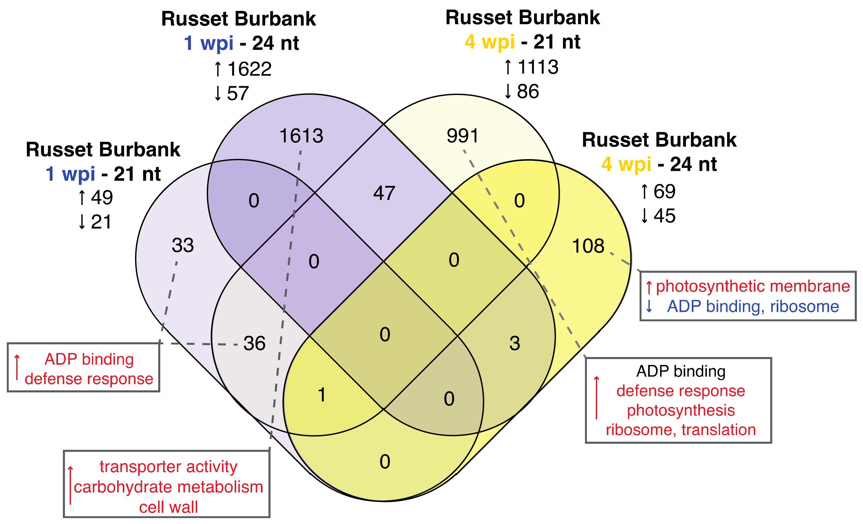 Viruses 14 00523 g004