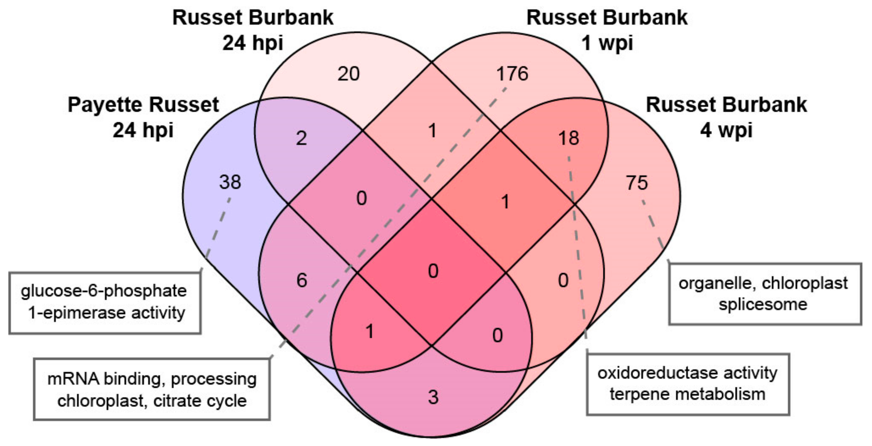 Viruses 14 00523 g006