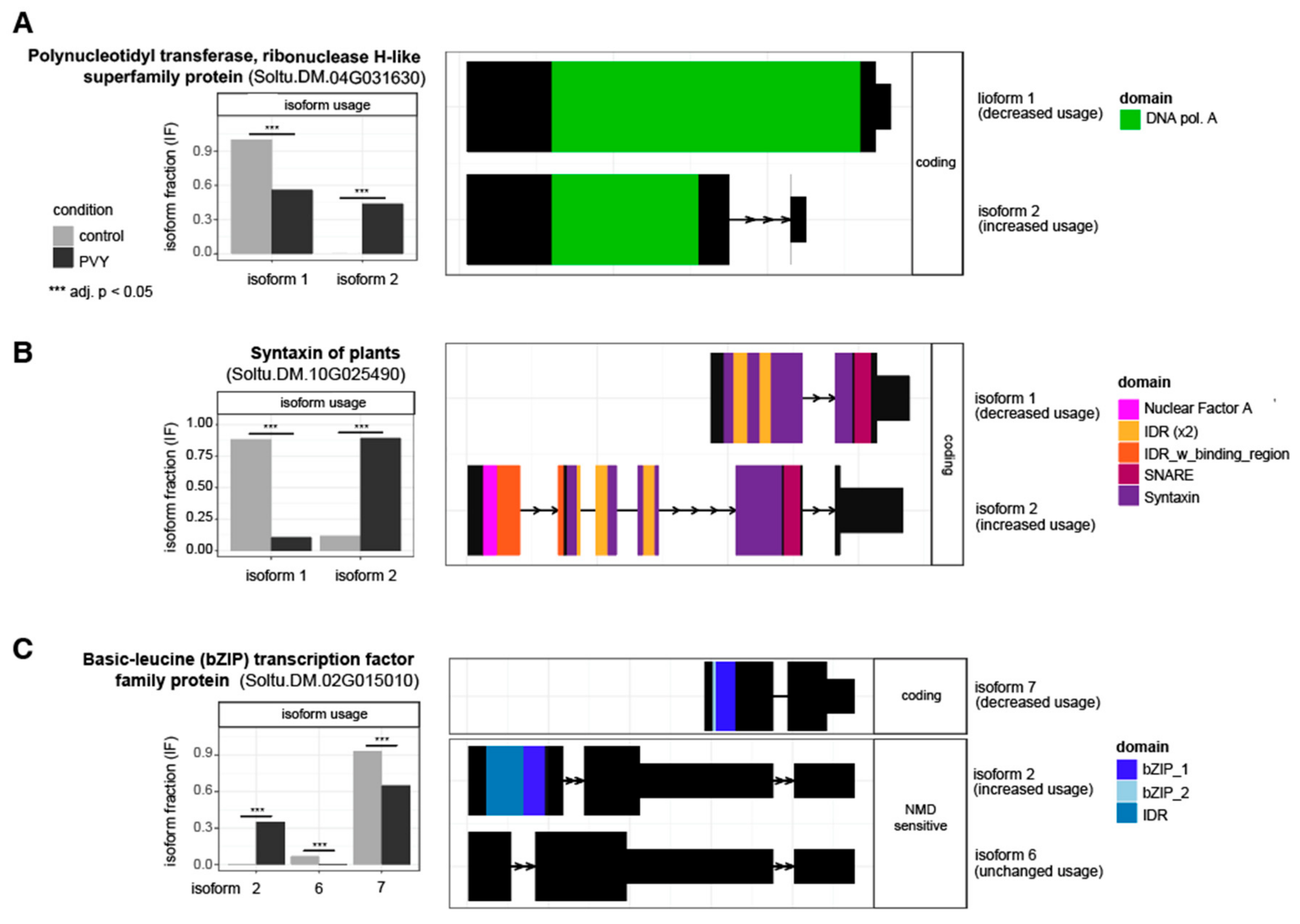 Viruses 14 00523 g007