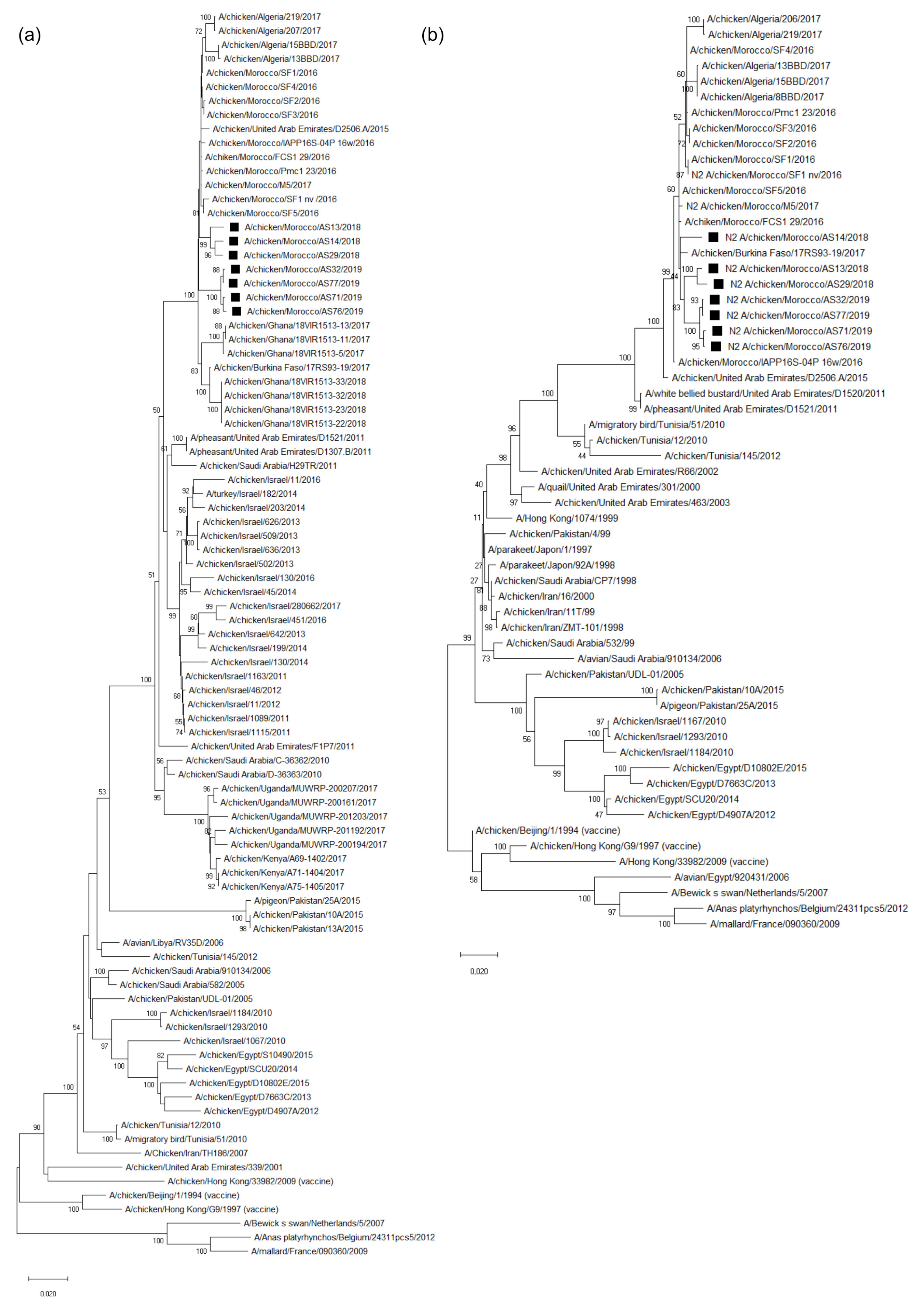 Viruses 14 00529 g001 550