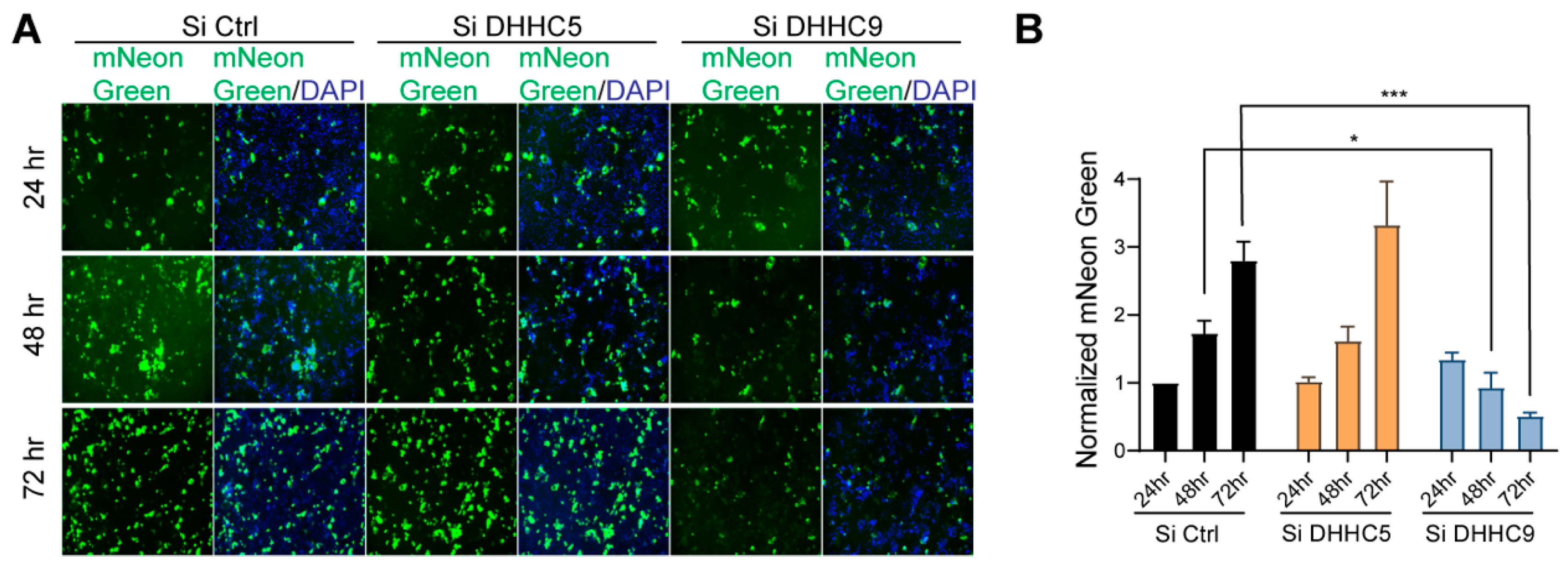 Viruses 14 00531 g006