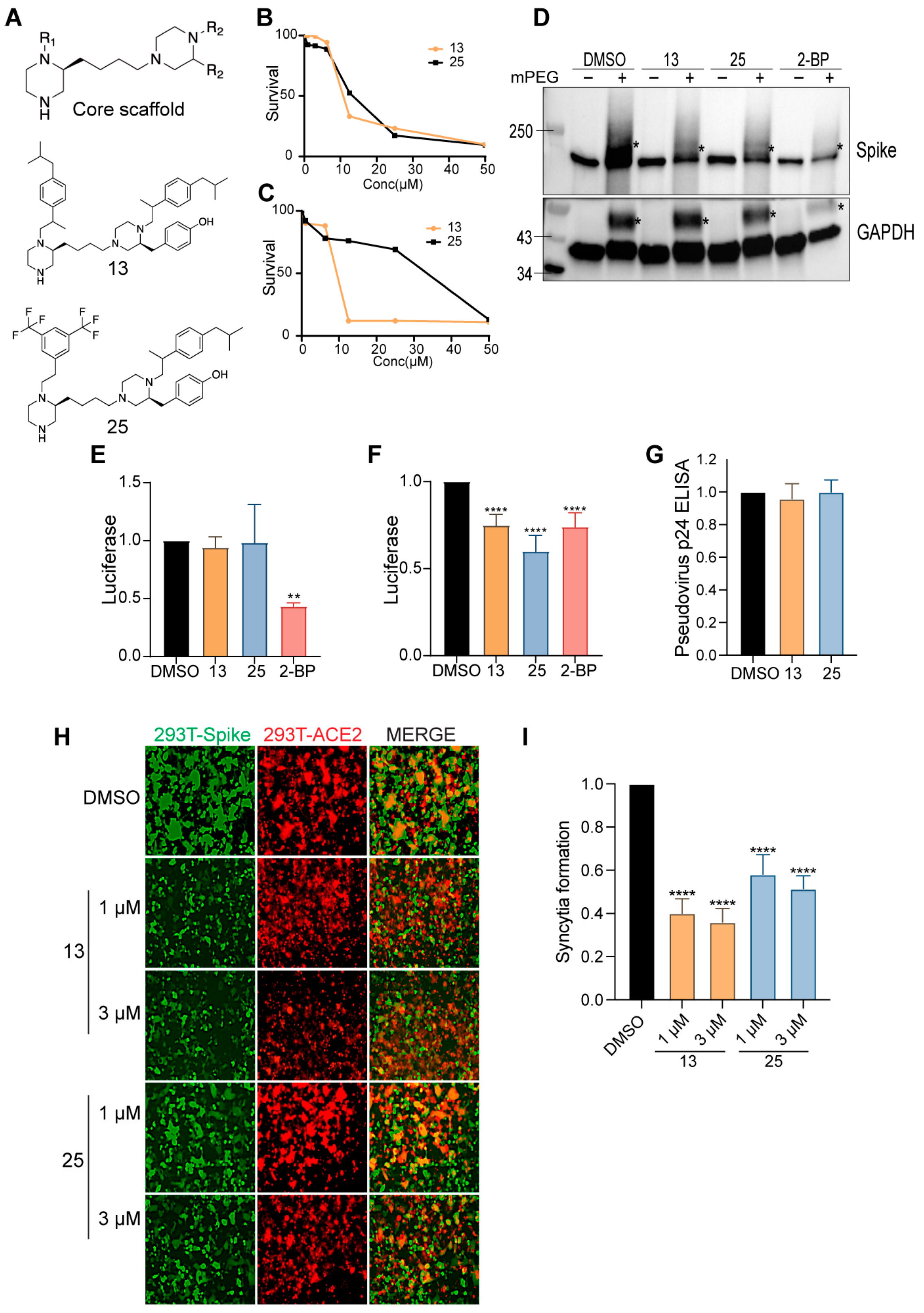 Viruses 14 00531 g007
