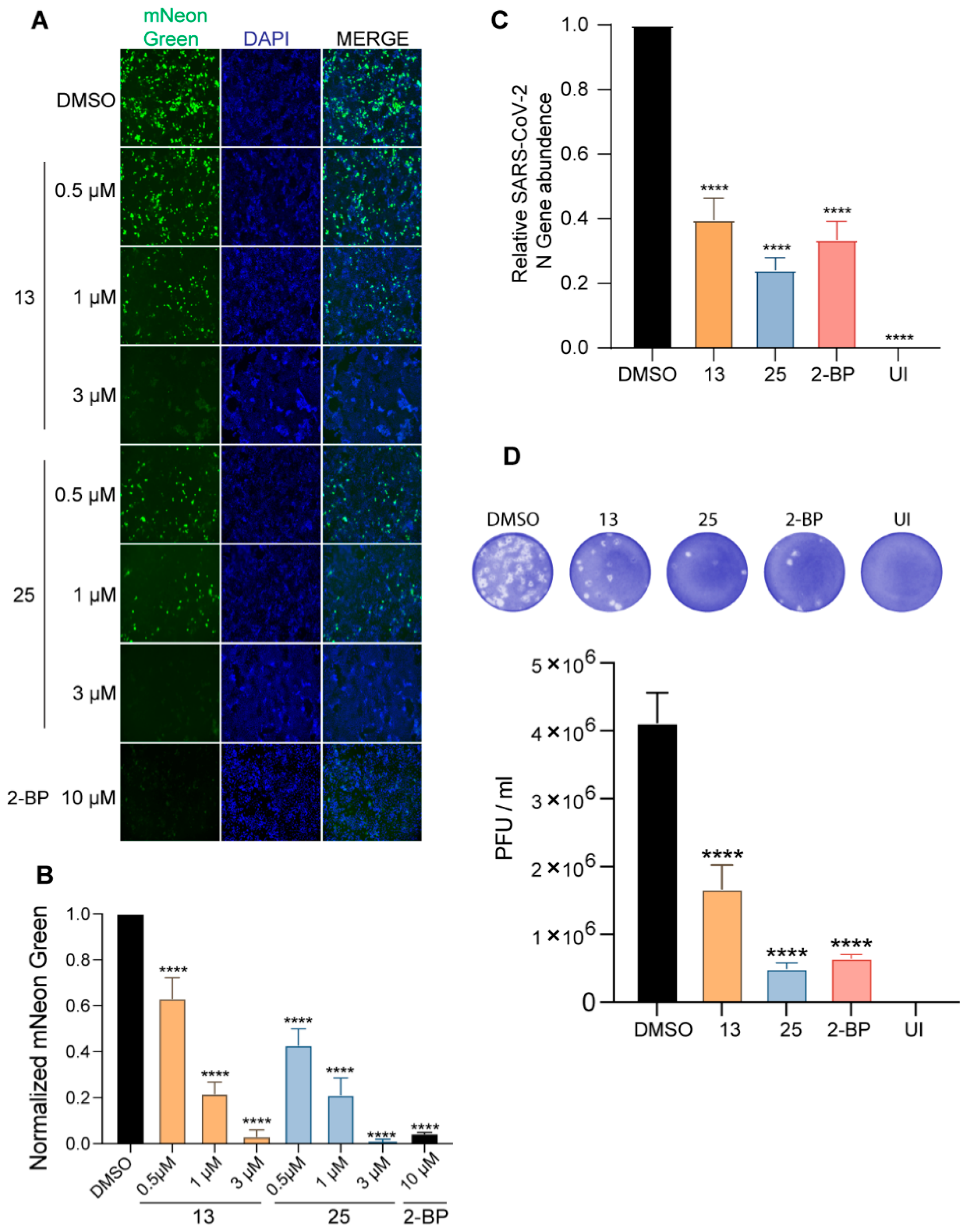 Viruses 14 00531 g008