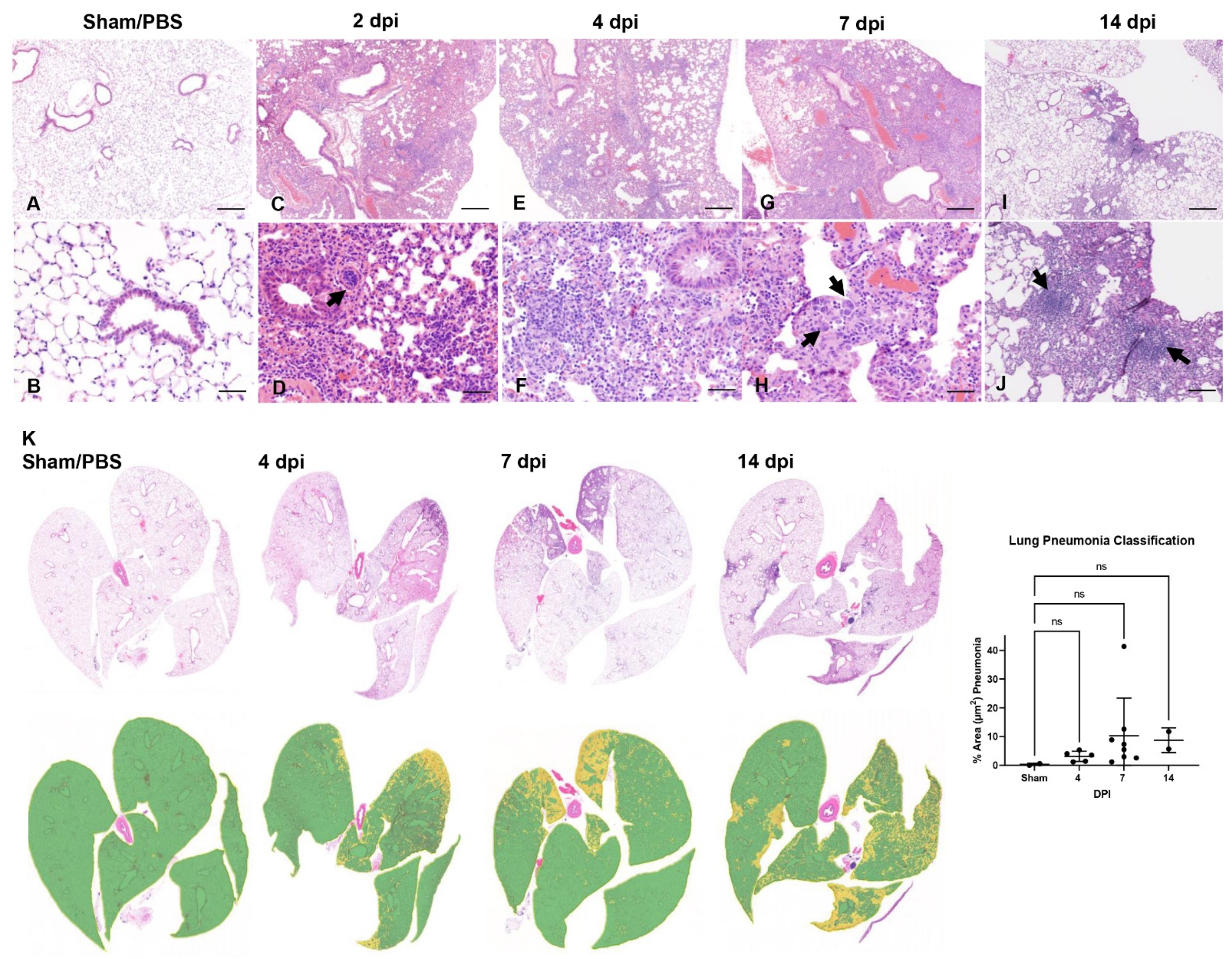 Viruses 14 00535 g003 550