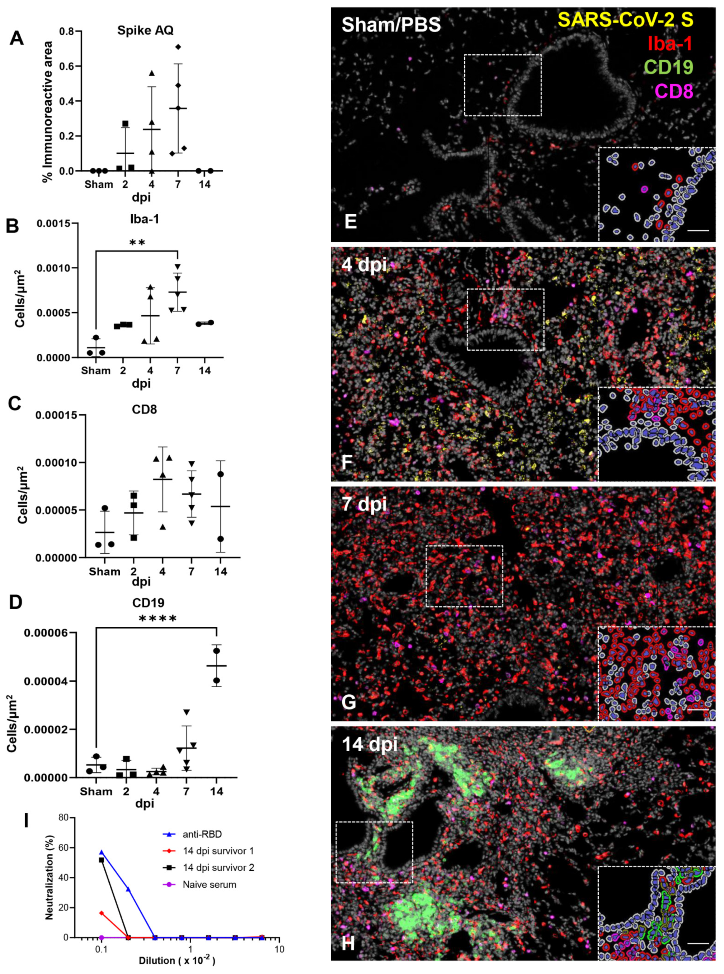 Viruses 14 00535 g005 550