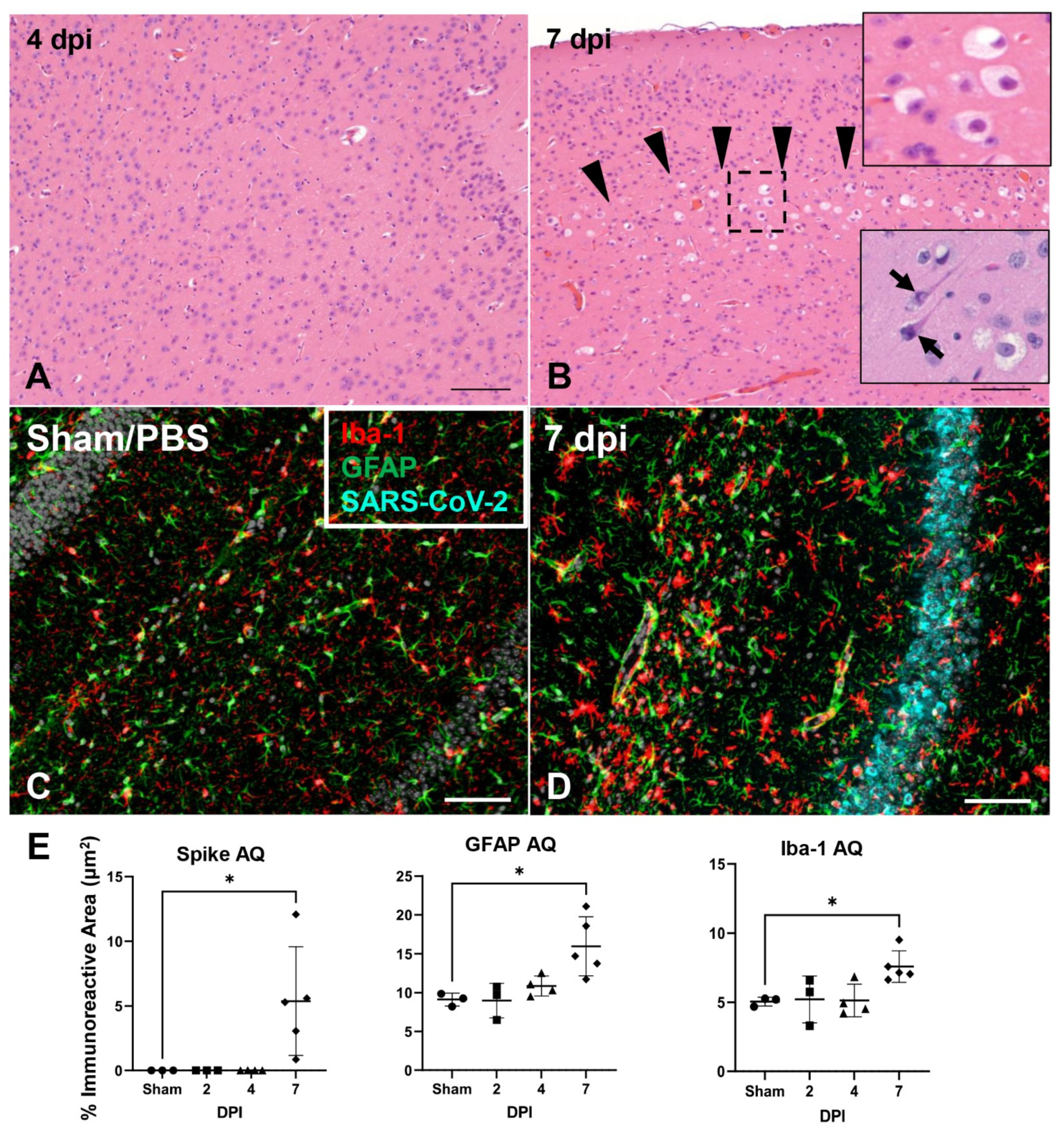 Viruses 14 00535 g007 550