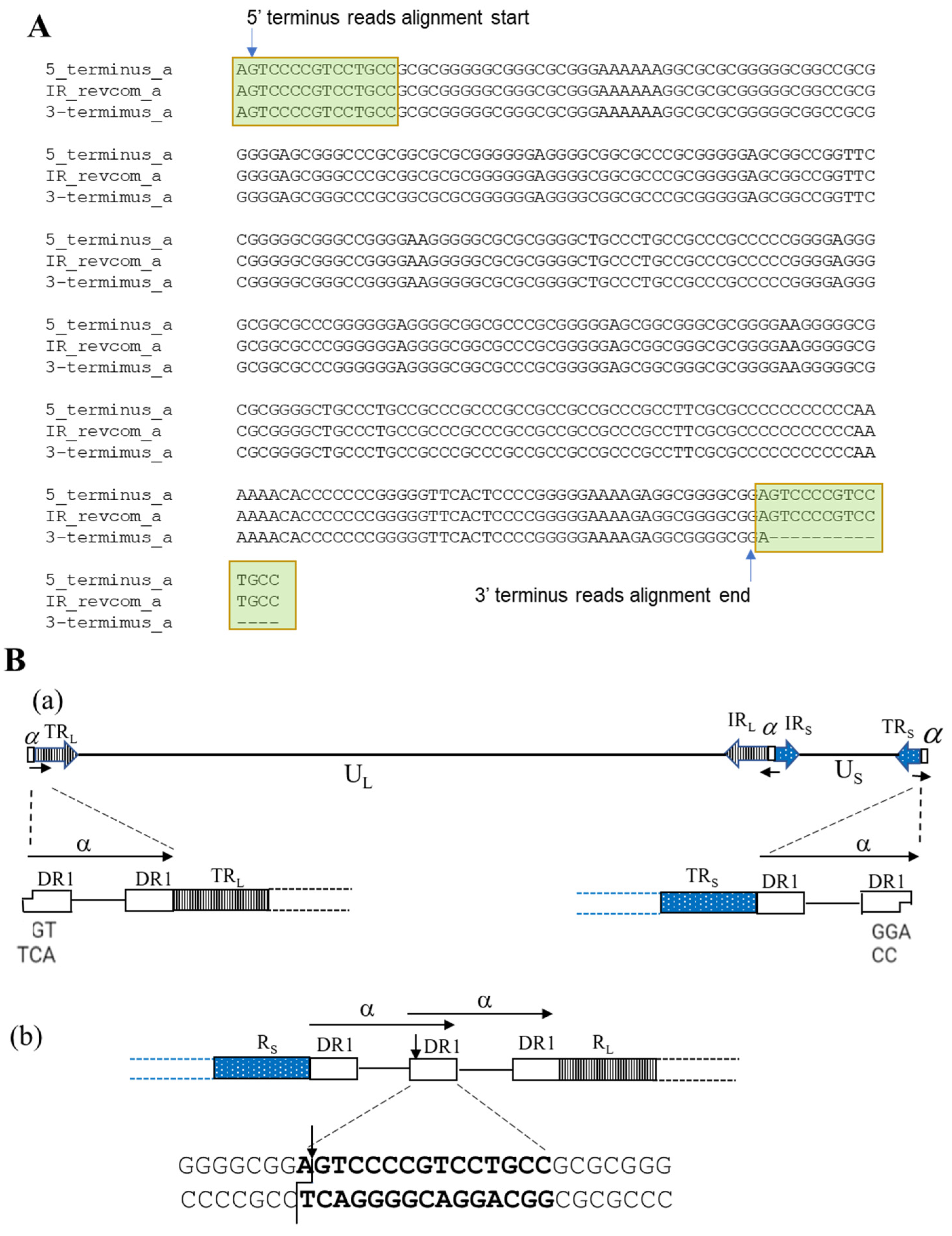 Viruses 14 00536 g004
