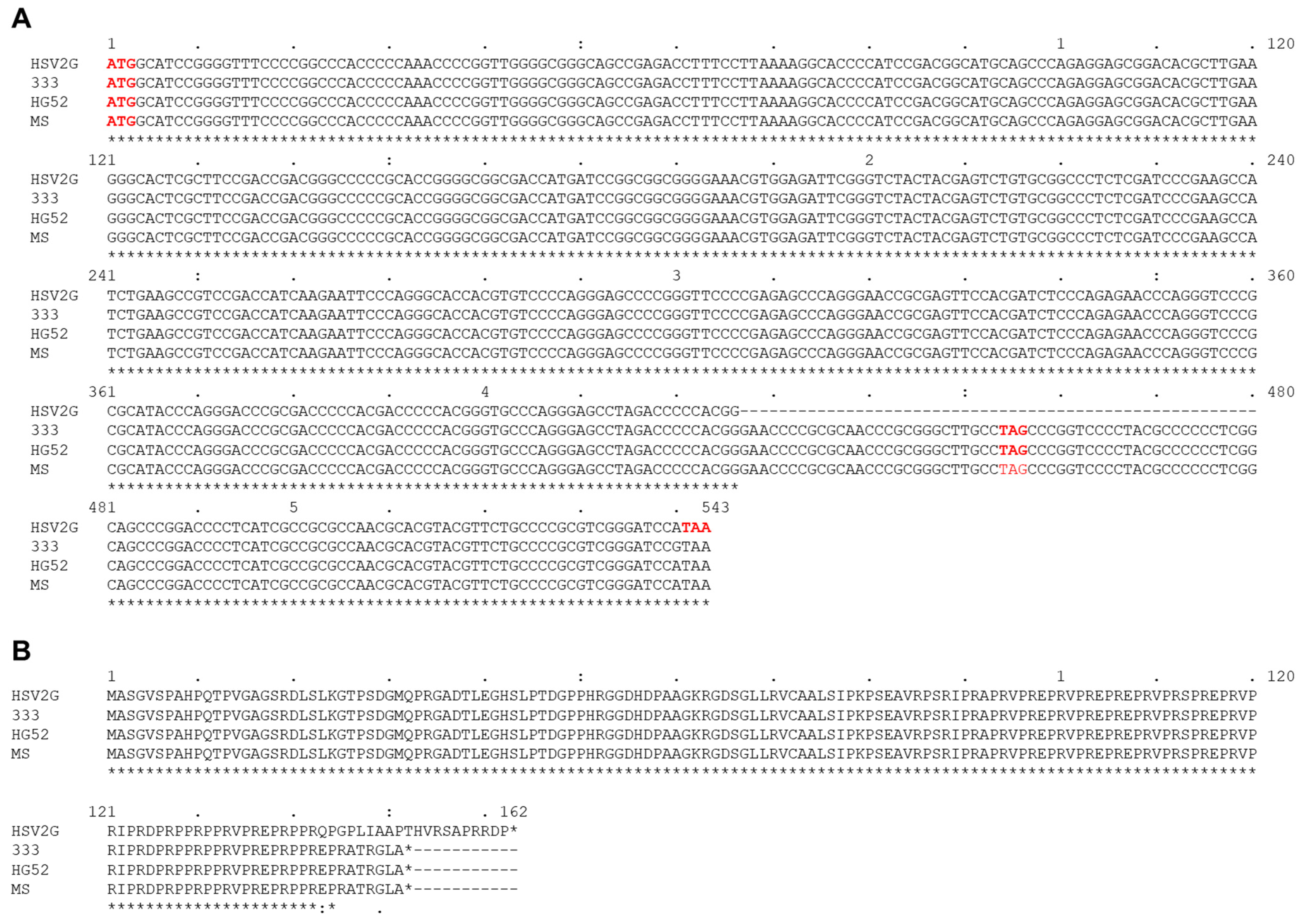 Viruses 14 00536 g005