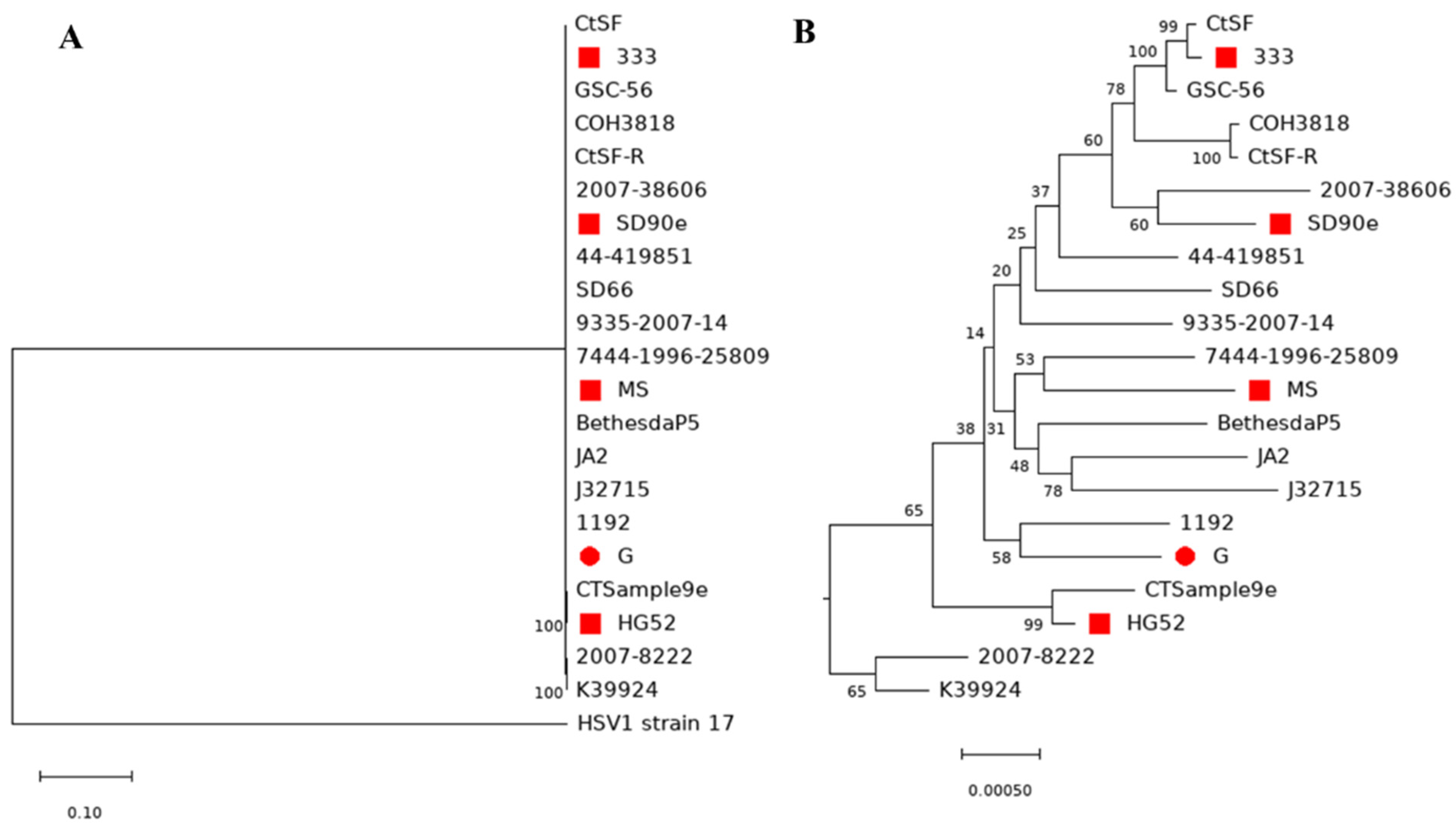 Viruses 14 00536 g006