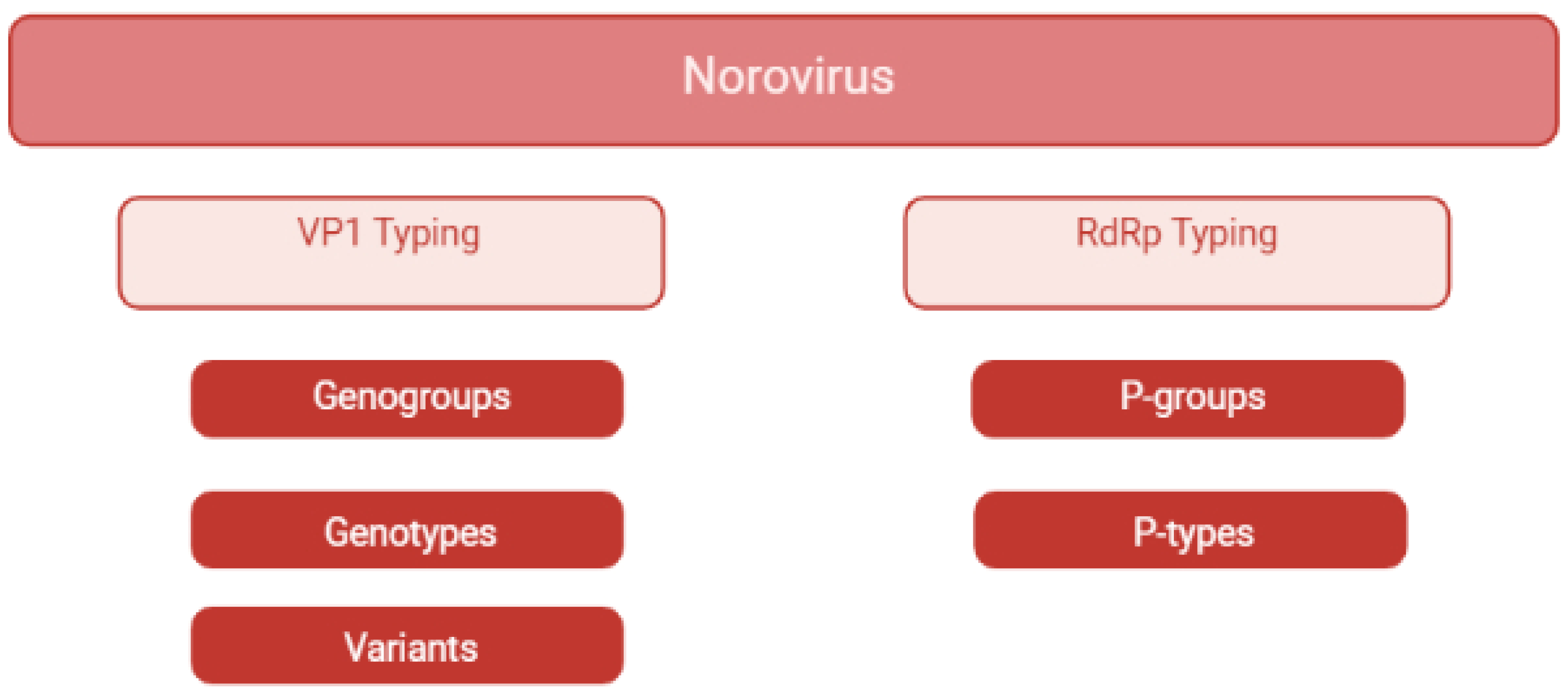 Viruses 14 00537 g002 Viruses 14 00537 g002