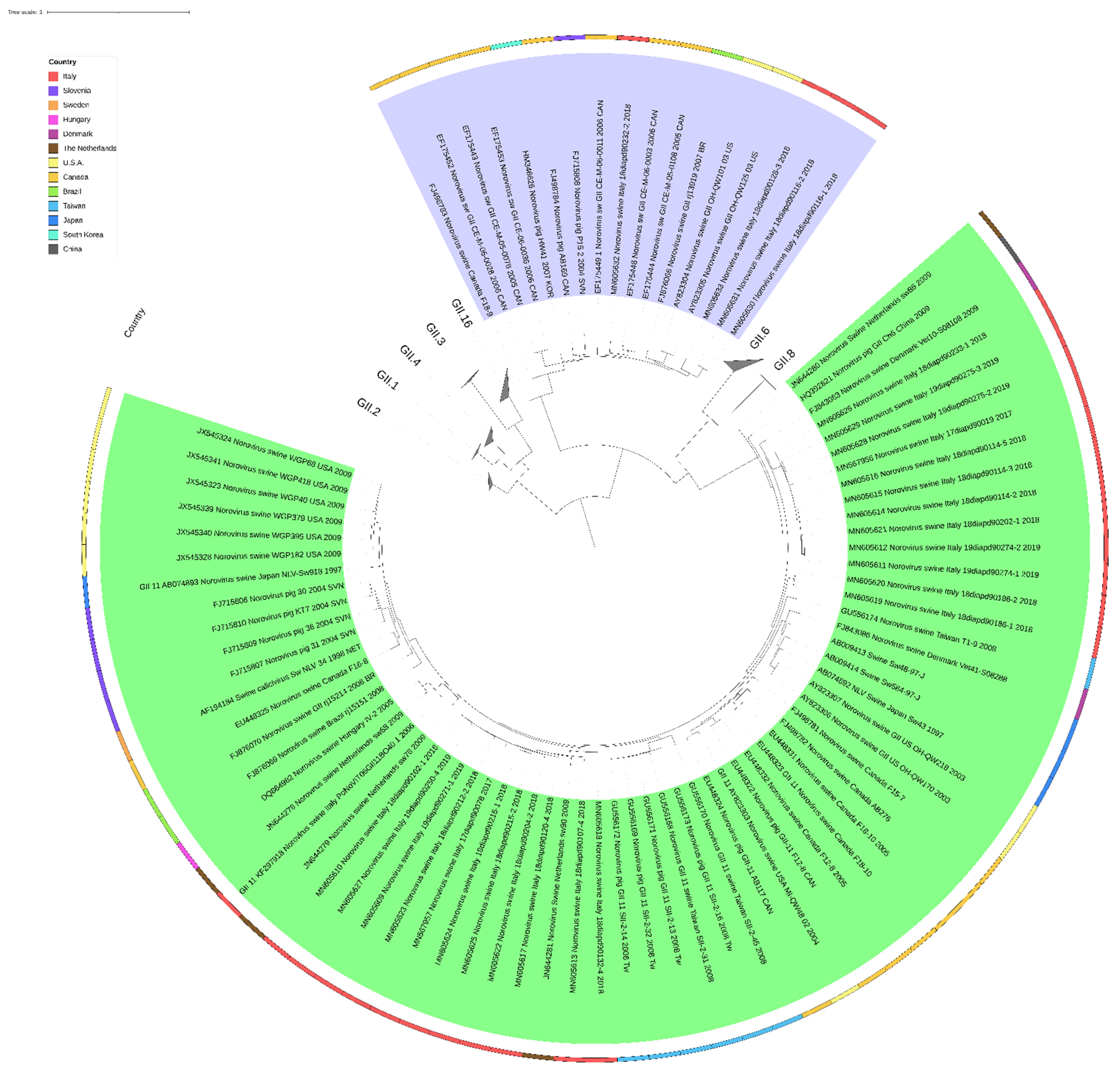 Viruses 14 00537 g003 Viruses 14 00537 g003
