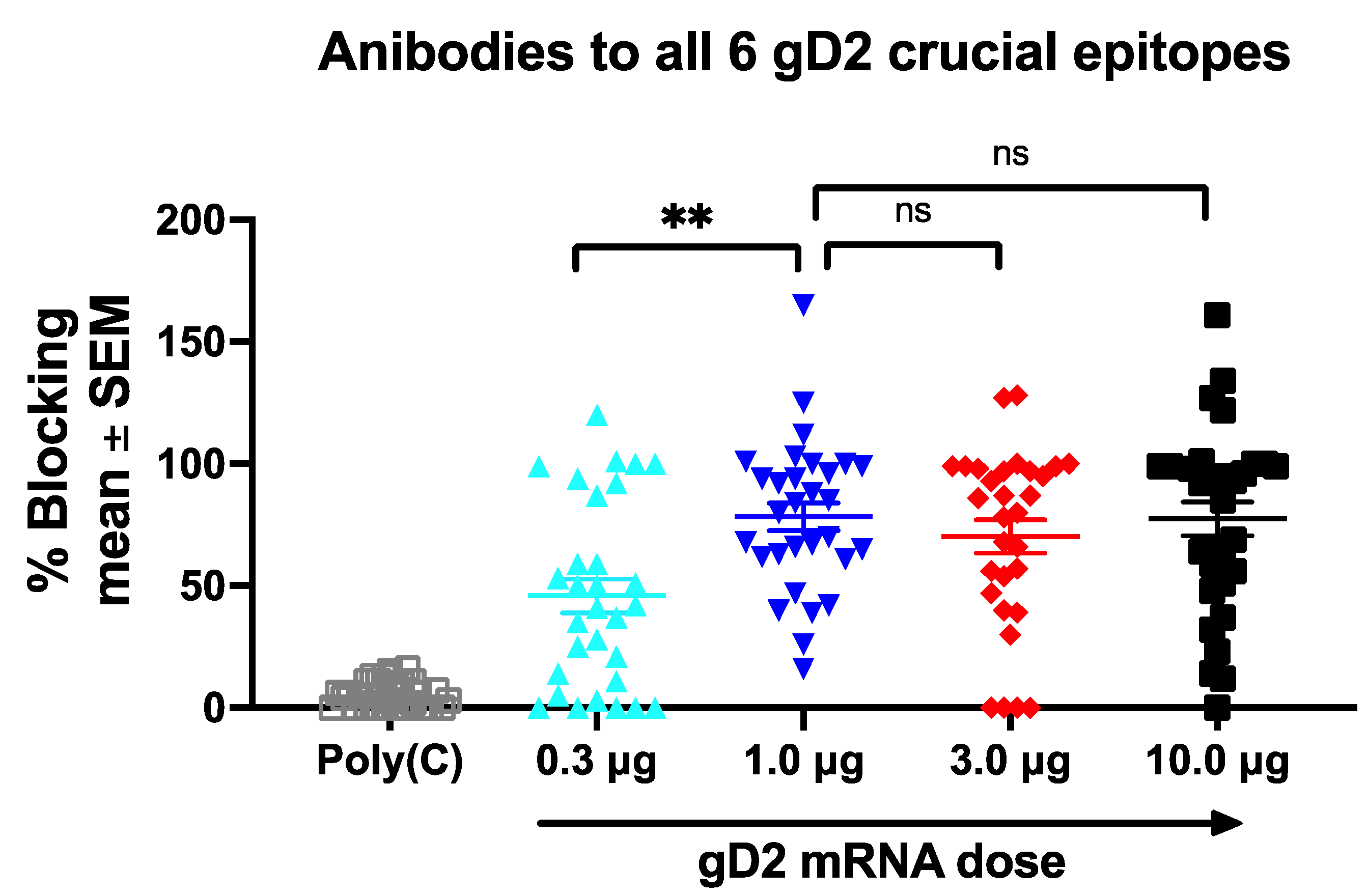 Viruses 14 00540 g004 Viruses 14 00540 g004
