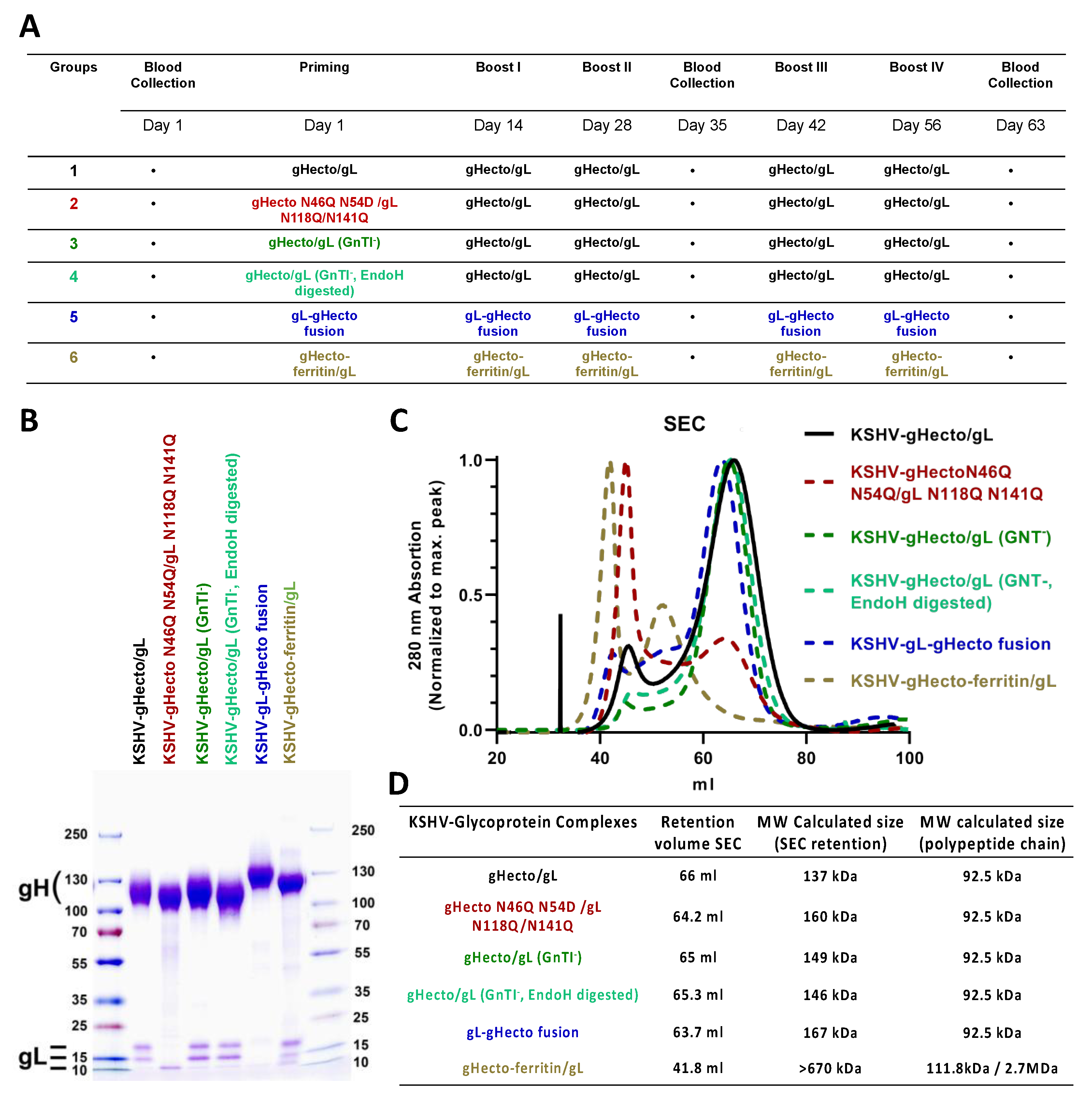 Viruses 14 00541 g002 Viruses 14 00541 g002