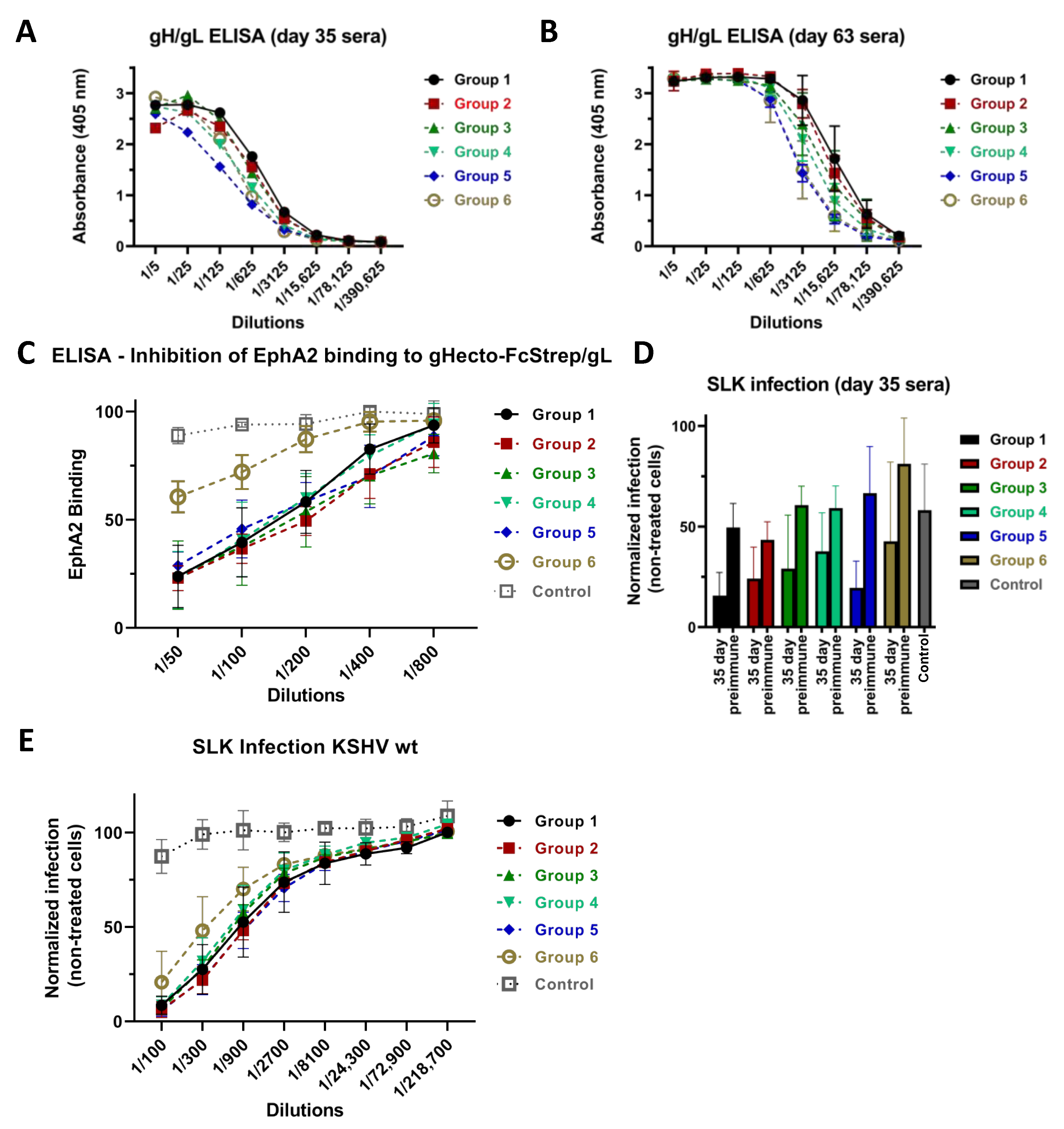 Viruses 14 00541 g003 Viruses 14 00541 g003