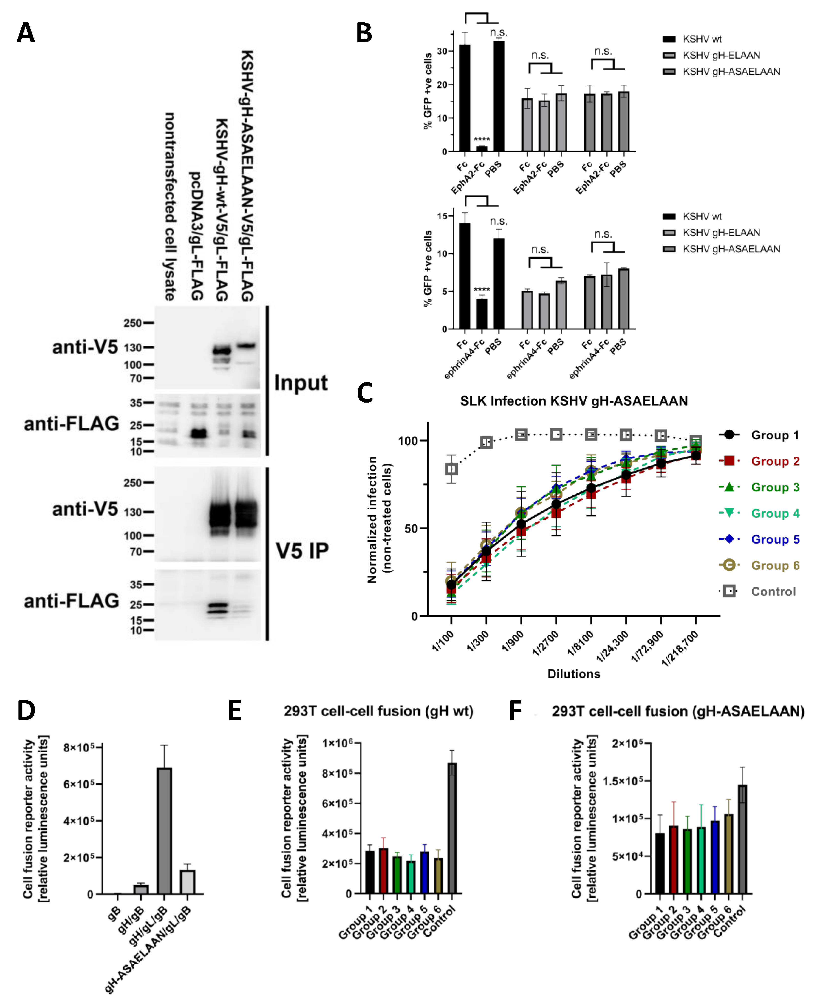 Viruses 14 00541 g004 Viruses 14 00541 g004