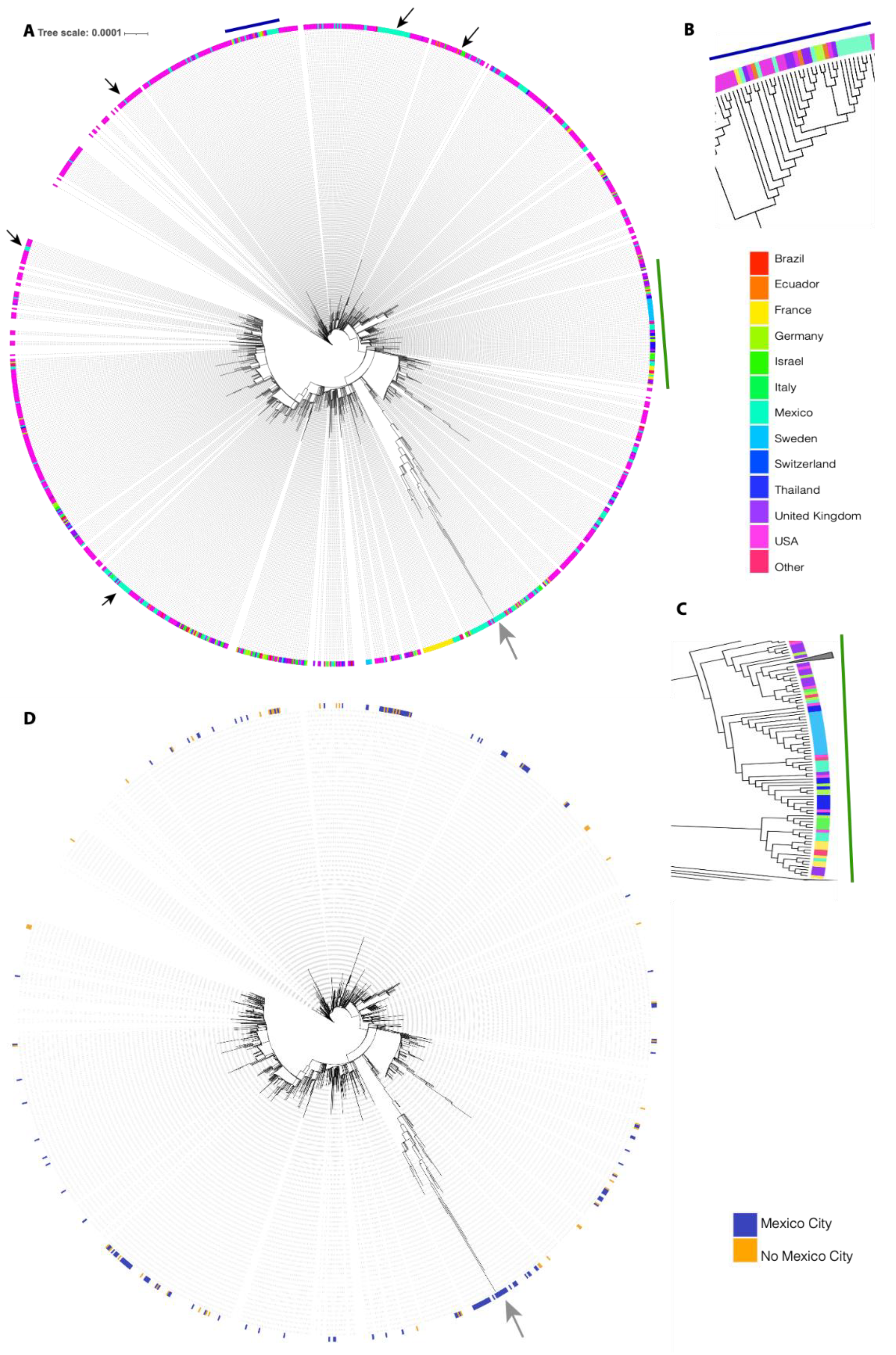 Viruses 14 00545 g001
