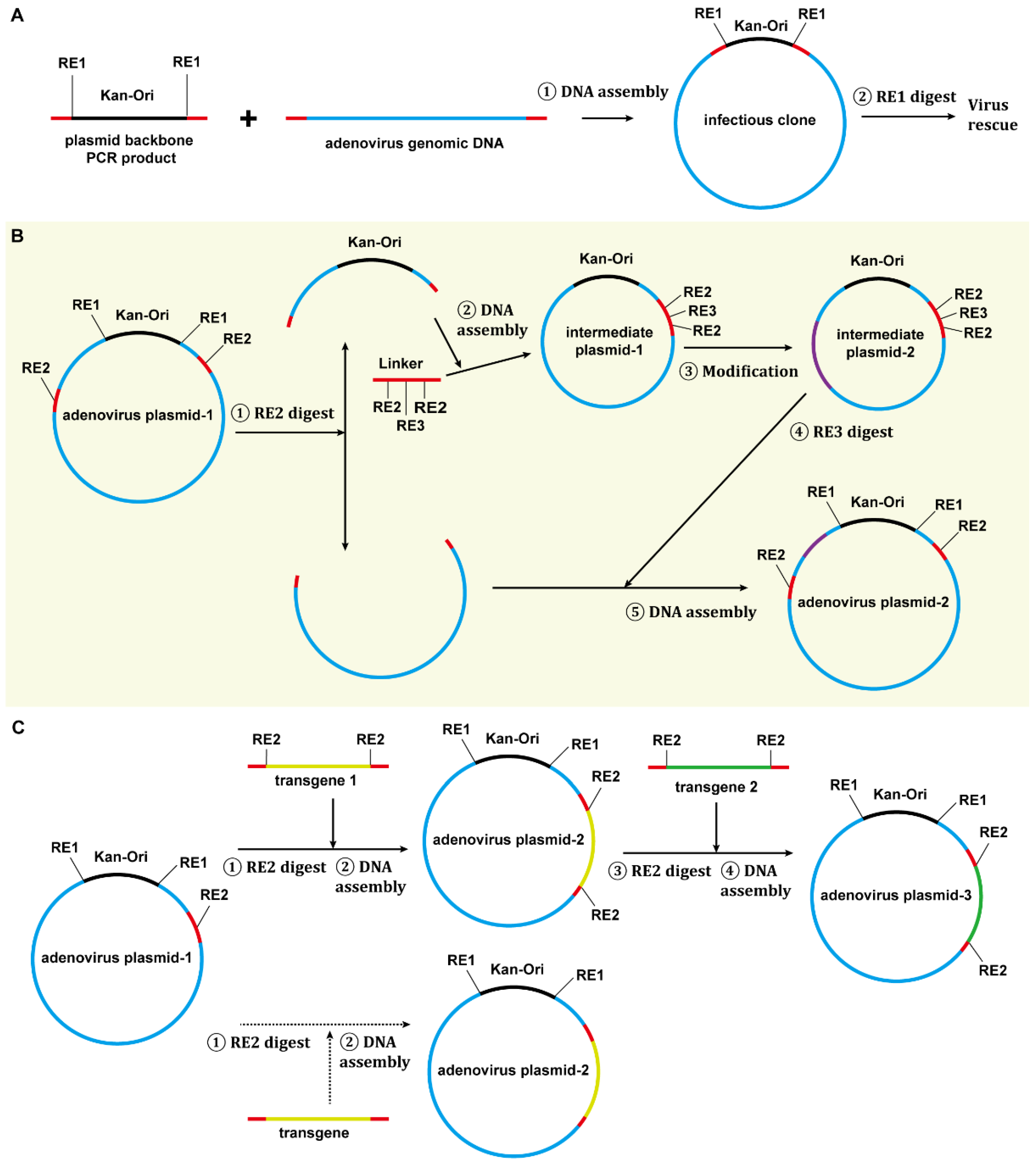 Viruses 14 00546 g009