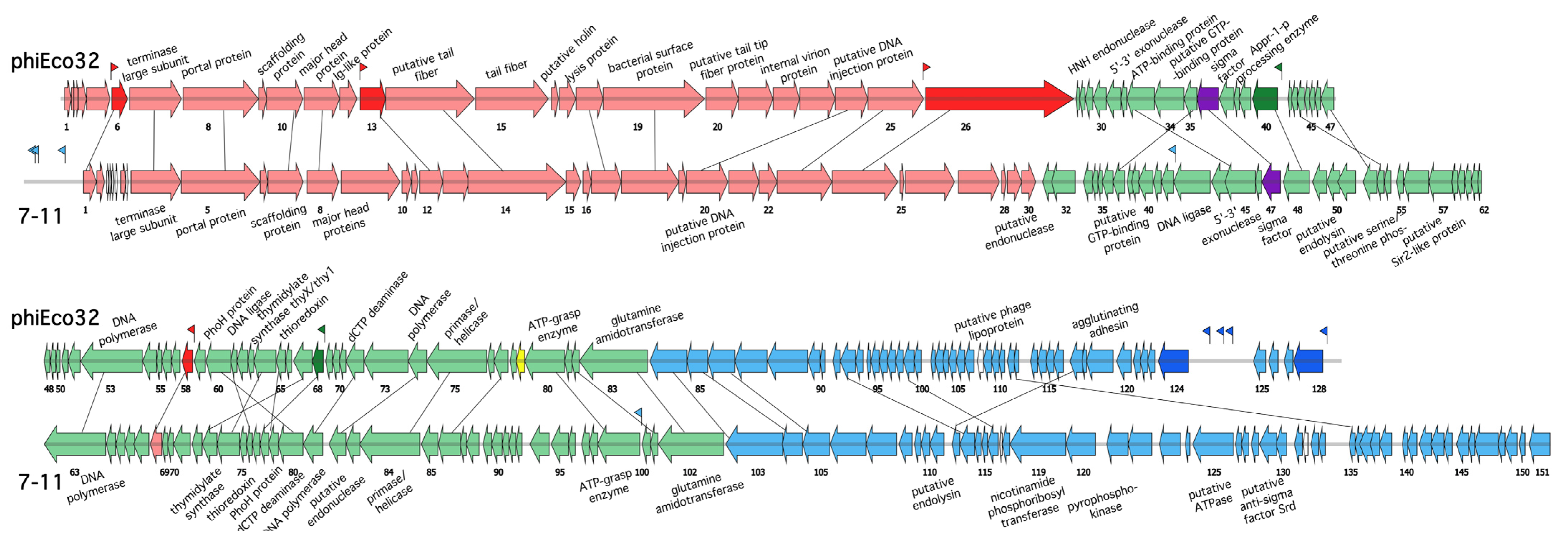 Viruses 14 00555 g001