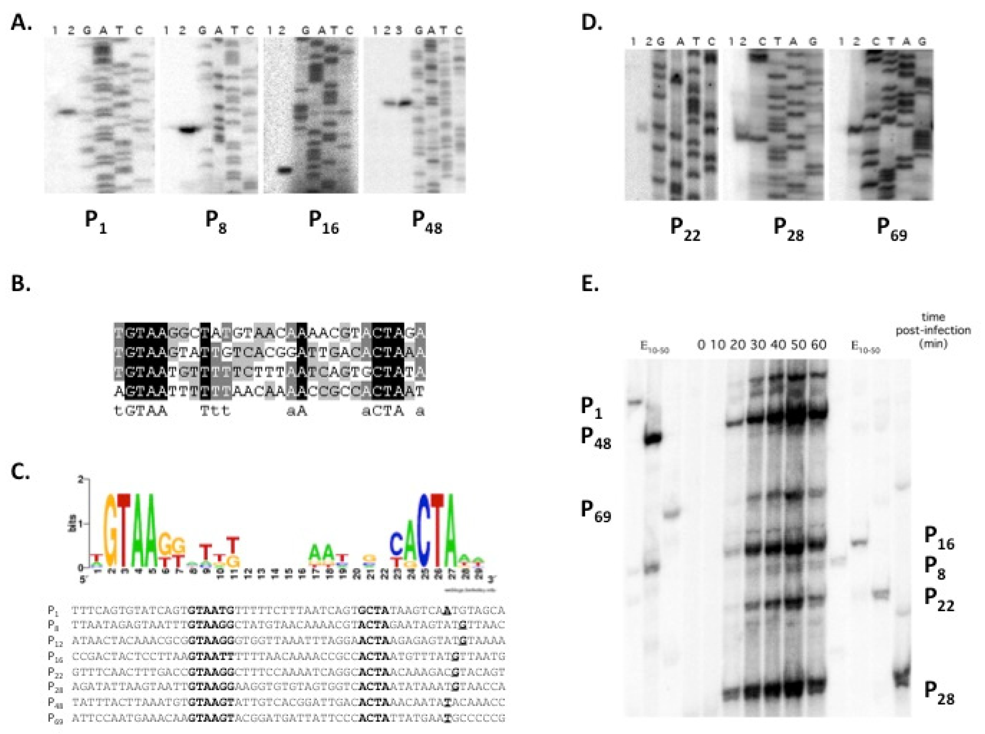 Viruses 14 00555 g002