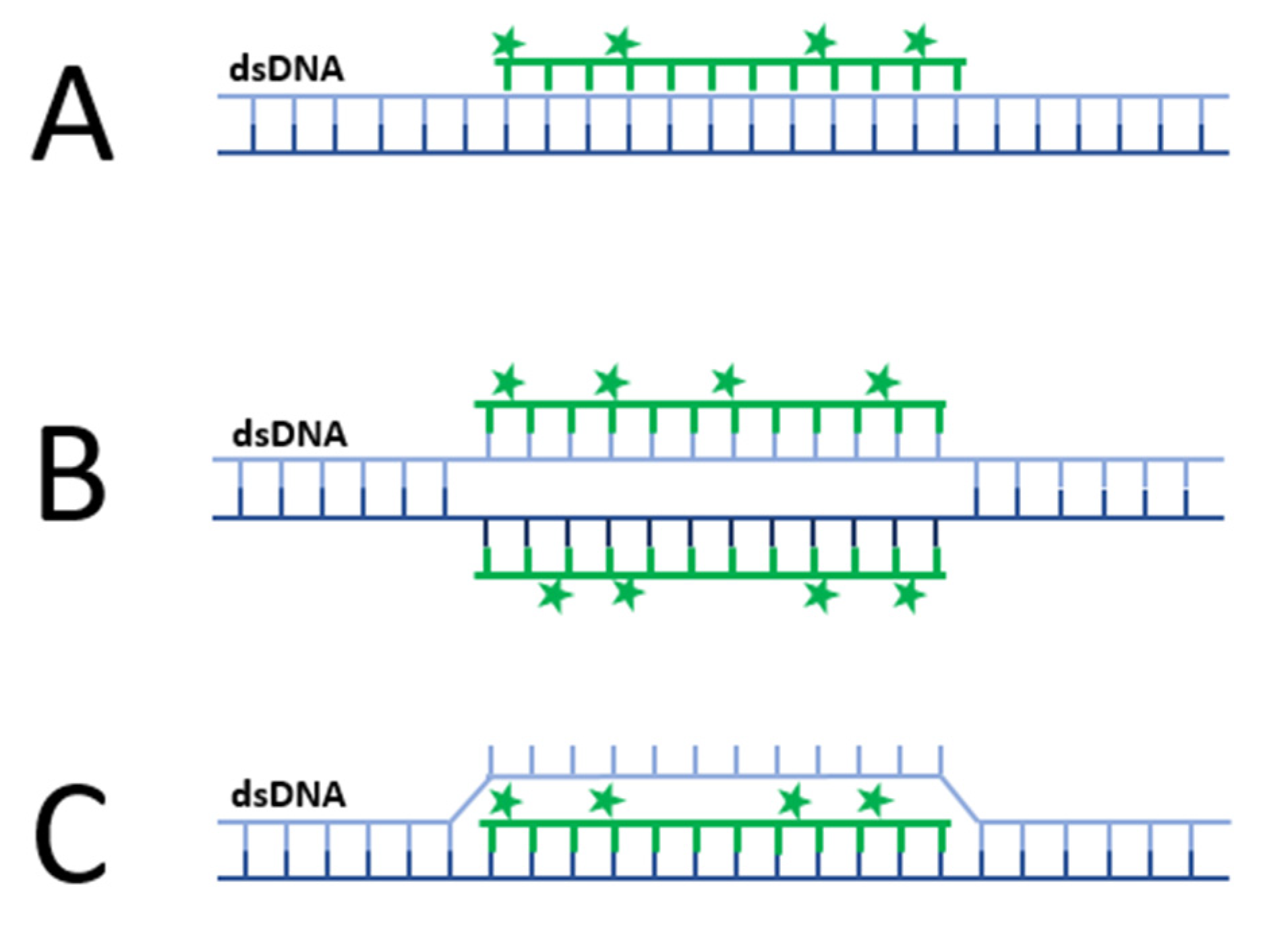 Viruses 14 00557 g008 Viruses 14 00557 g008