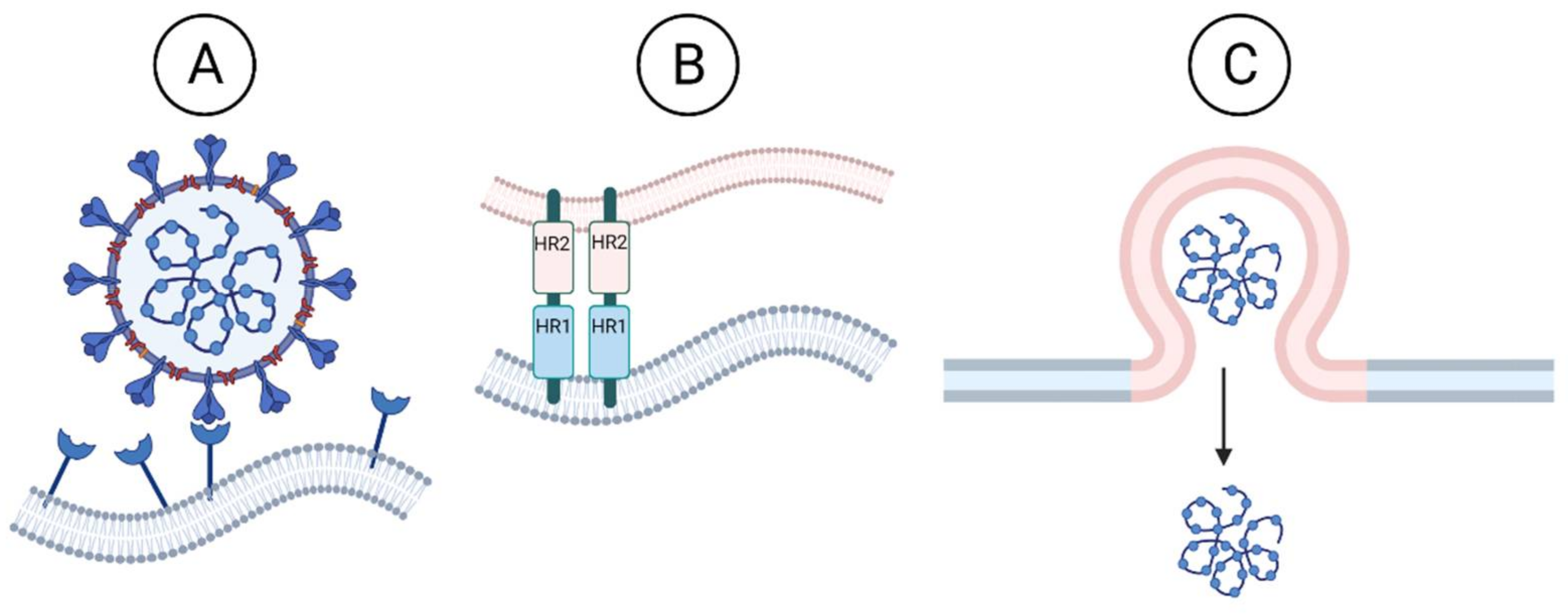 Viruses 14 00563 g002 Viruses 14 00563 g002