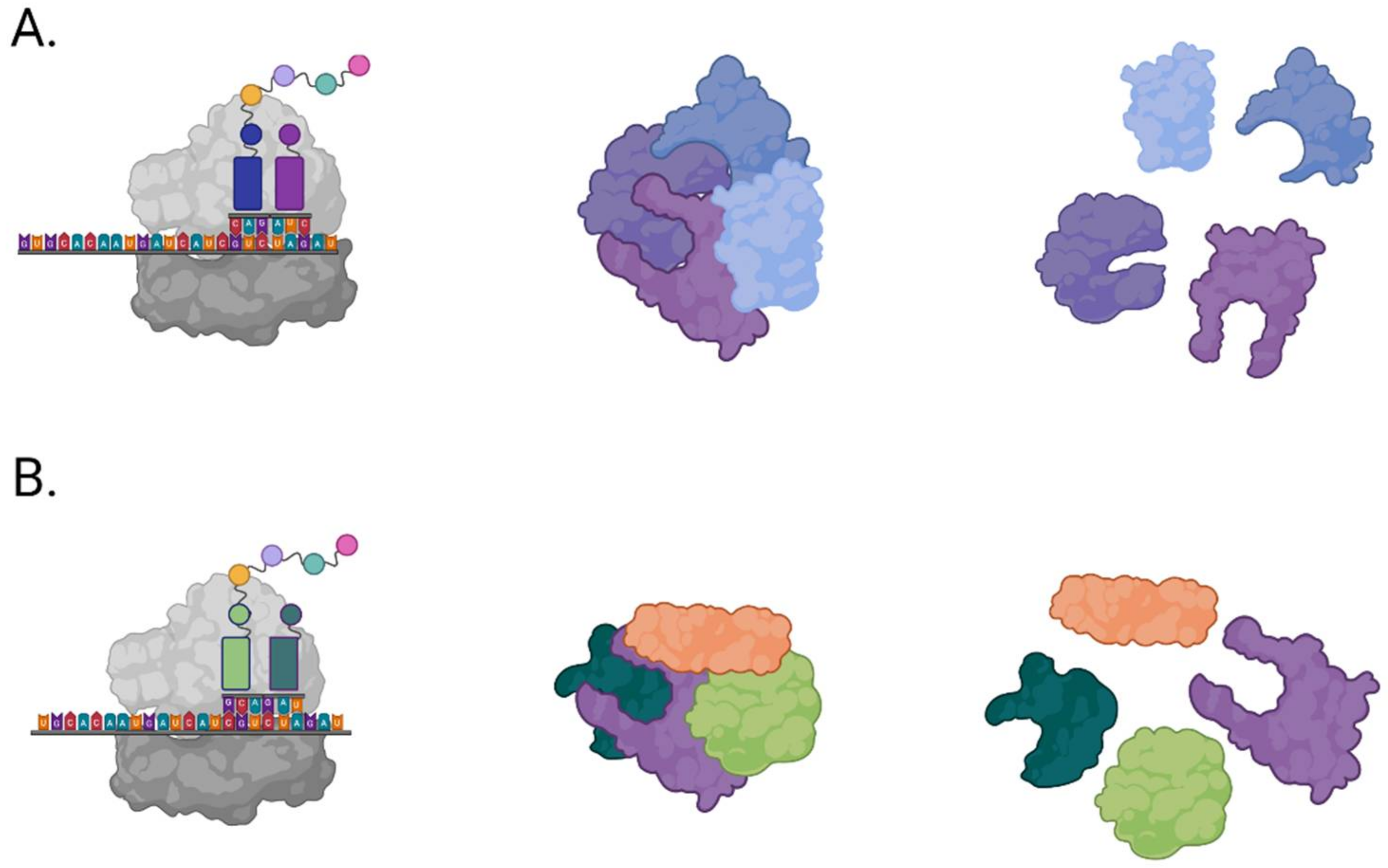 Viruses 14 00563 g003 Viruses 14 00563 g003