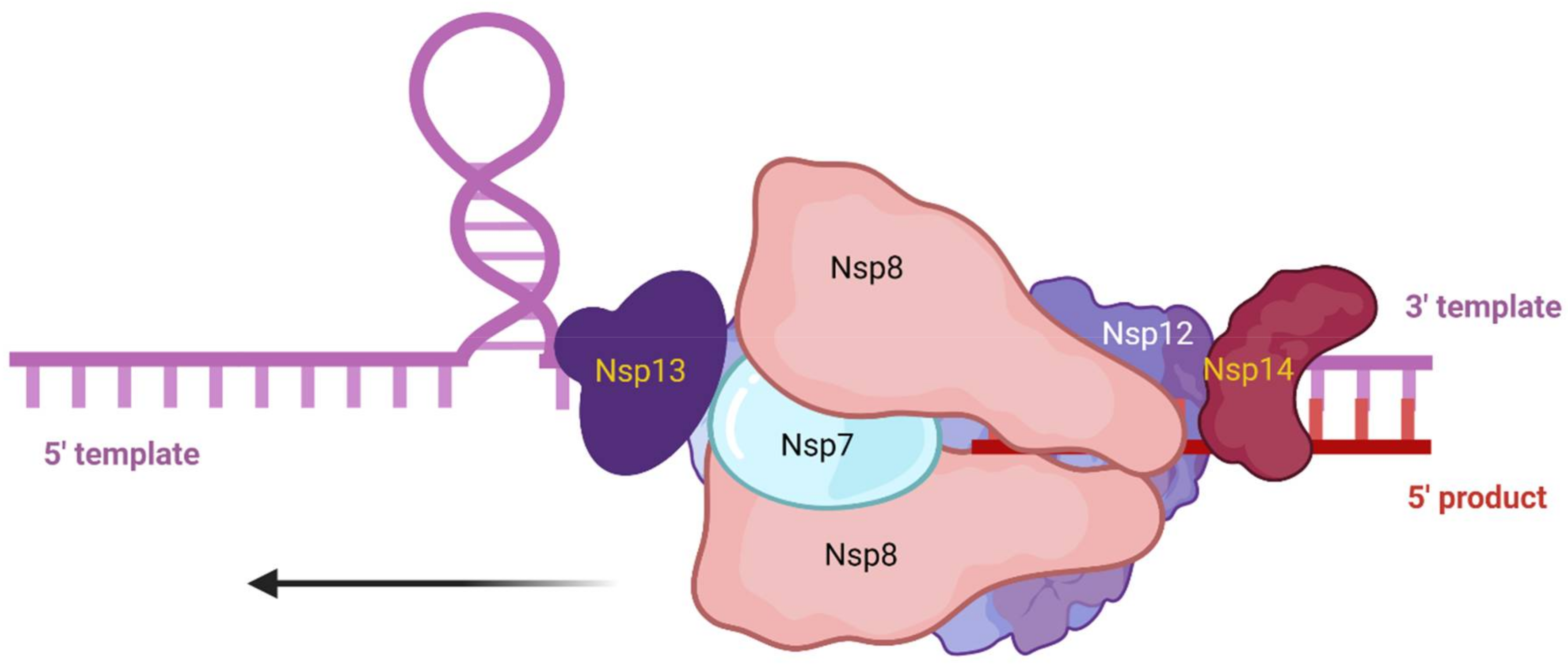 Viruses 14 00563 g005 Viruses 14 00563 g005