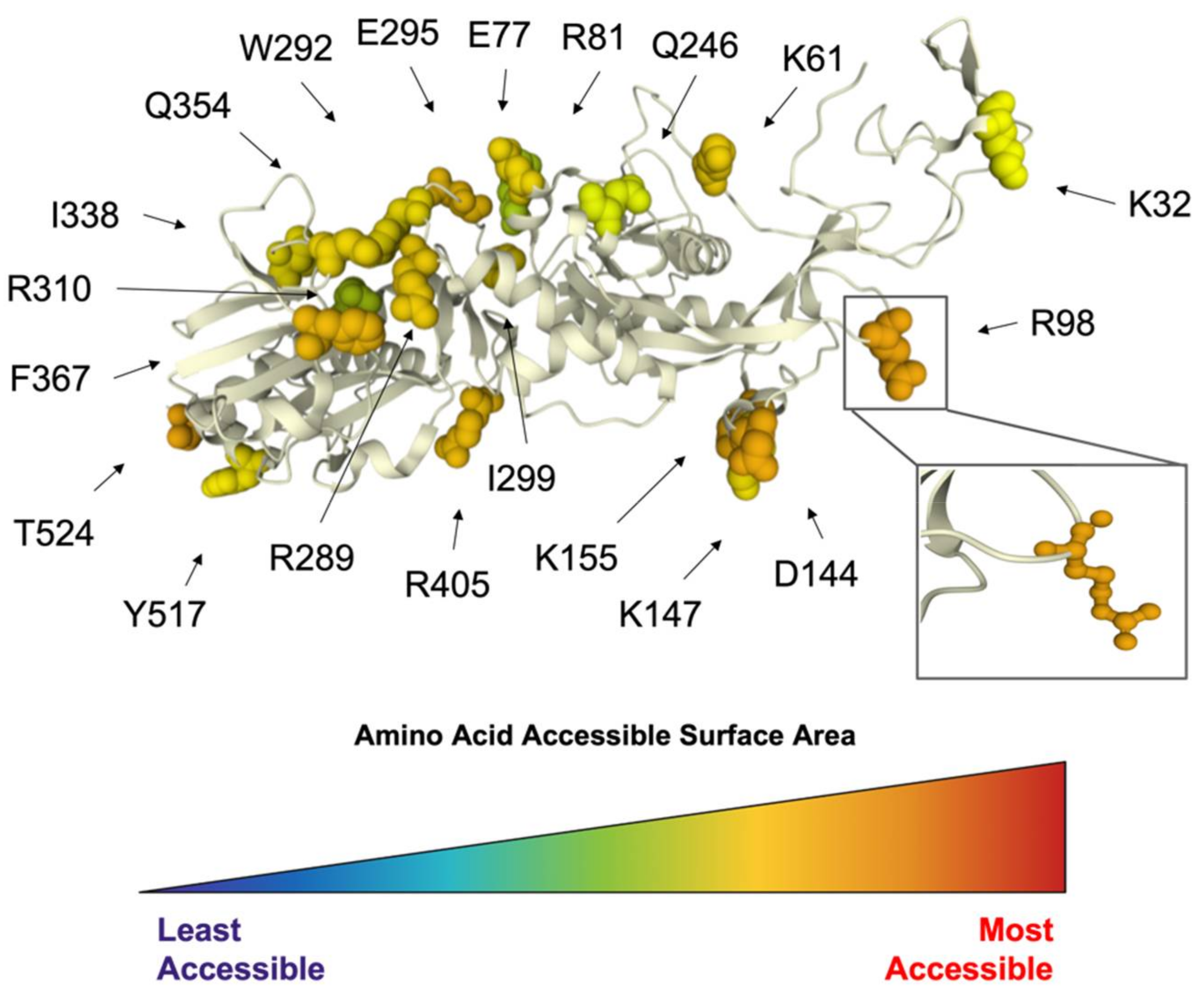 Viruses 14 00563 g008 Viruses 14 00563 g008