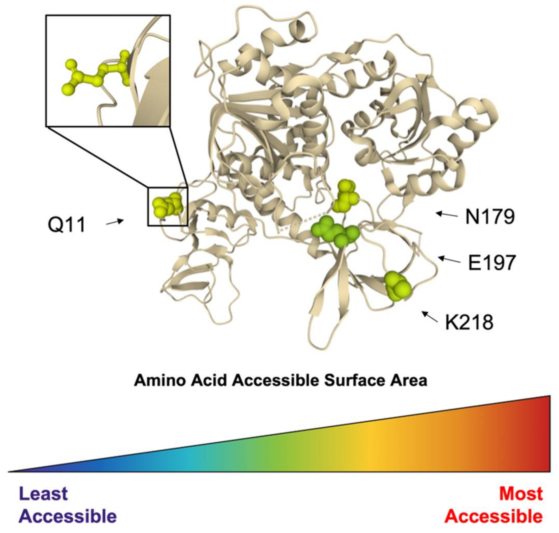 Viruses 14 00563 g009 Viruses 14 00563 g009