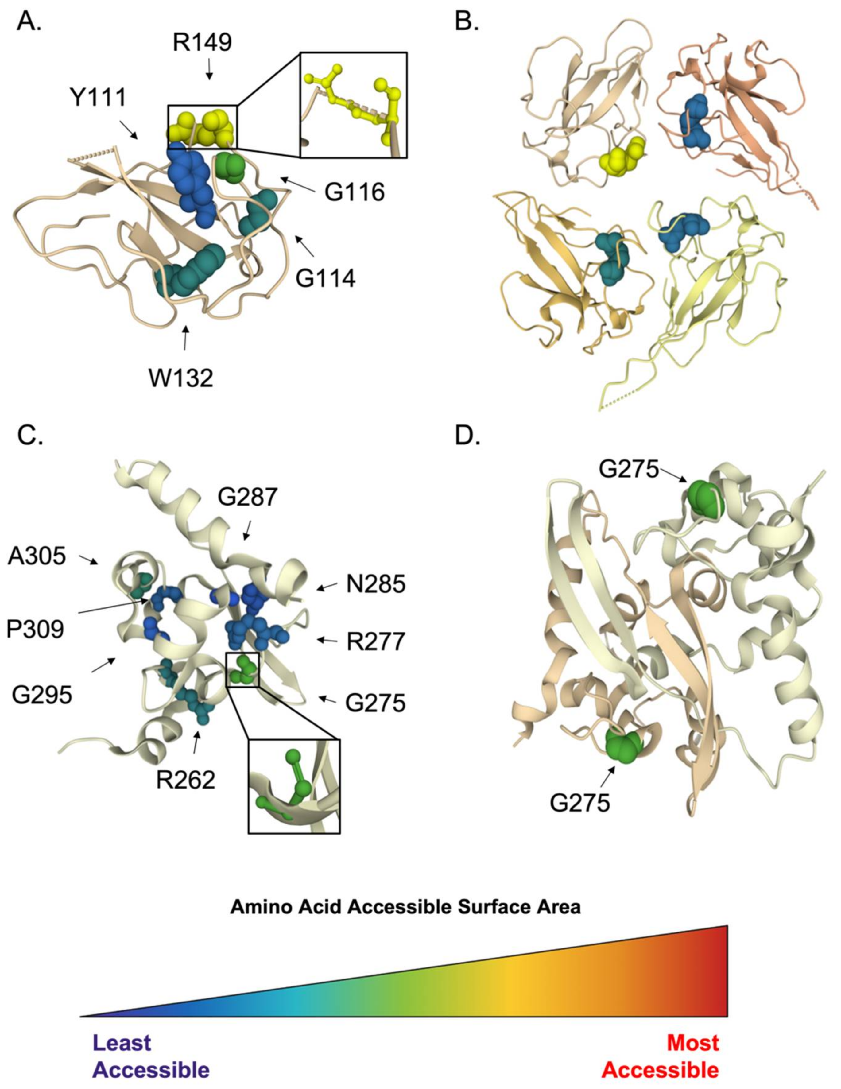 Viruses 14 00563 g010 Viruses 14 00563 g010