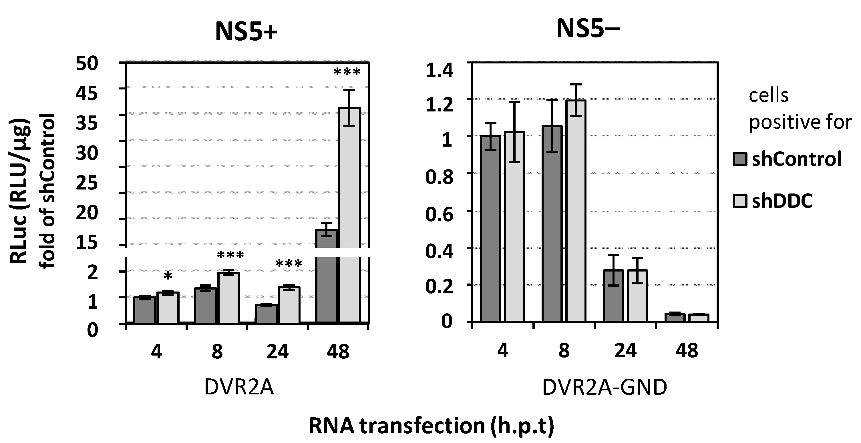 Viruses 14 00564 g002 Viruses 14 00564 g002