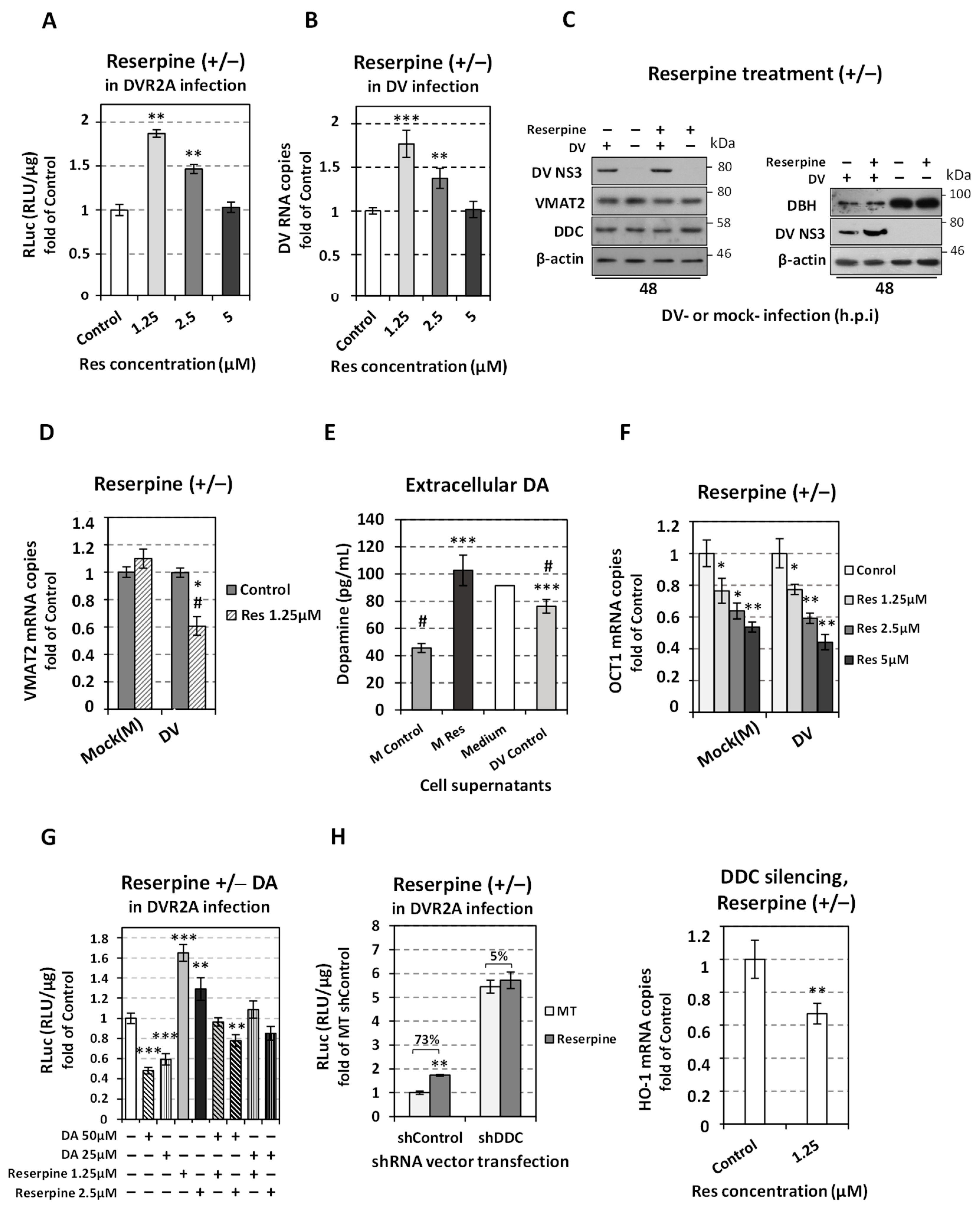 Viruses 14 00564 g006 Viruses 14 00564 g006