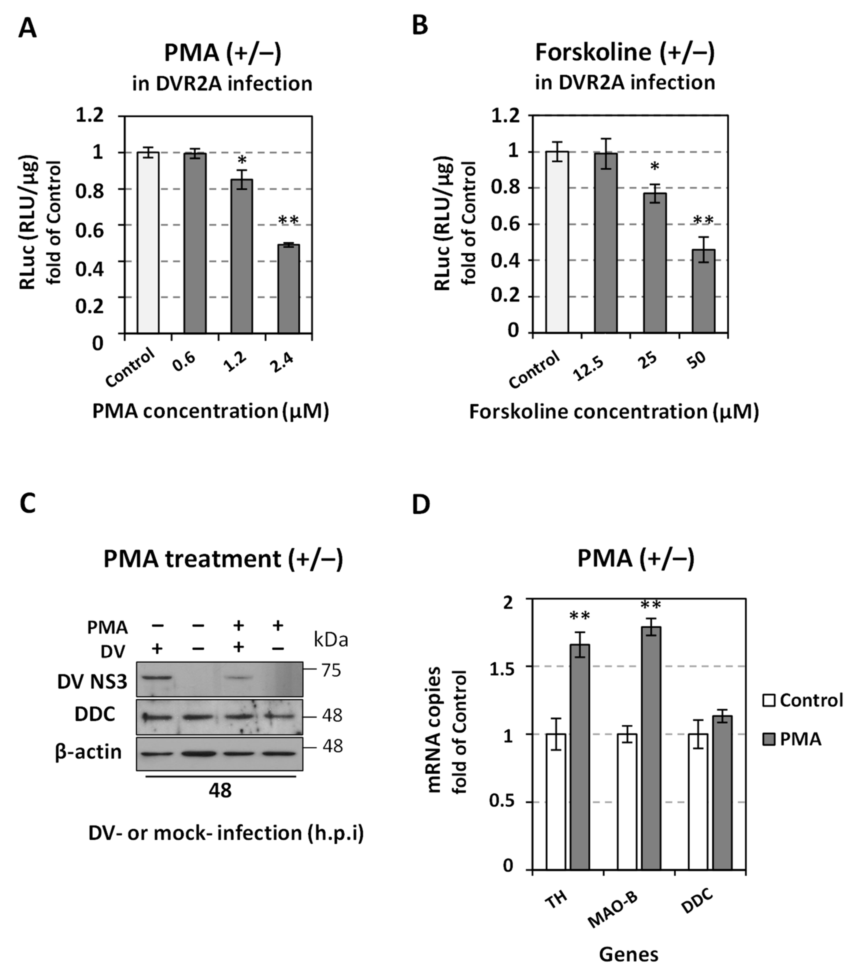 Viruses 14 00564 g010 Viruses 14 00564 g010