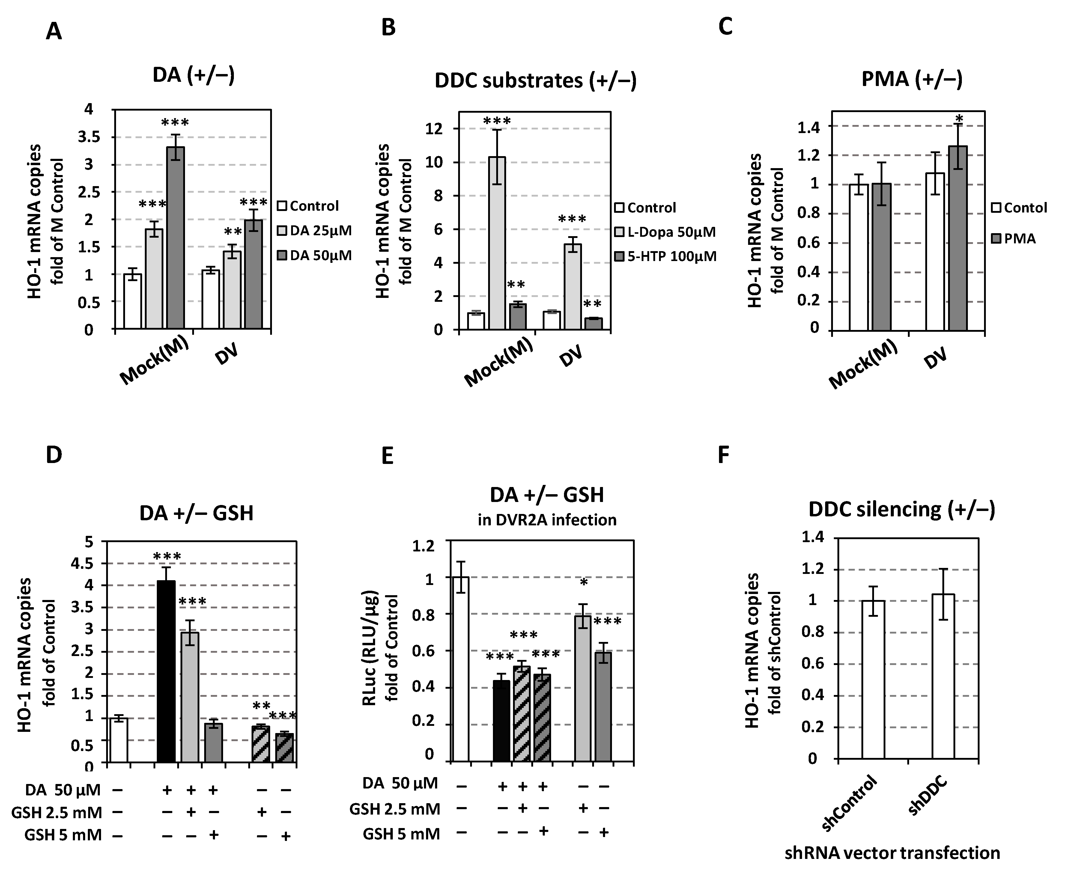 Viruses 14 00564 g011 Viruses 14 00564 g011